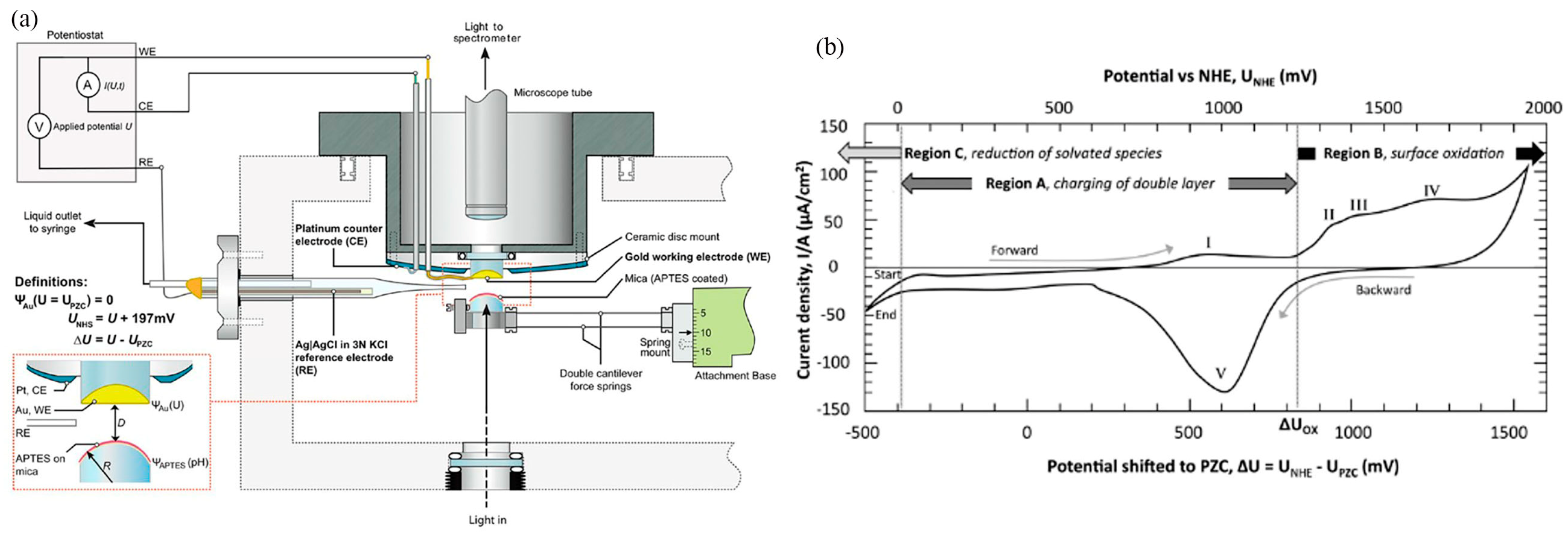 Lubricants 12 00214 g003