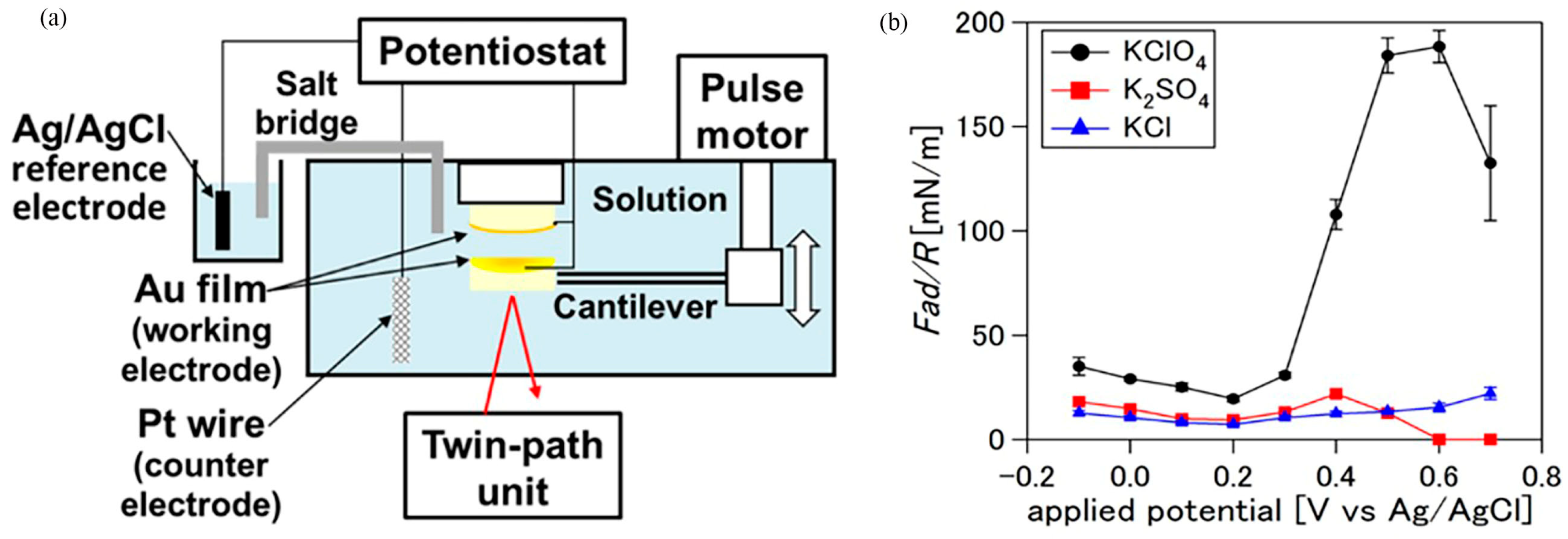 Lubricants 12 00214 g004