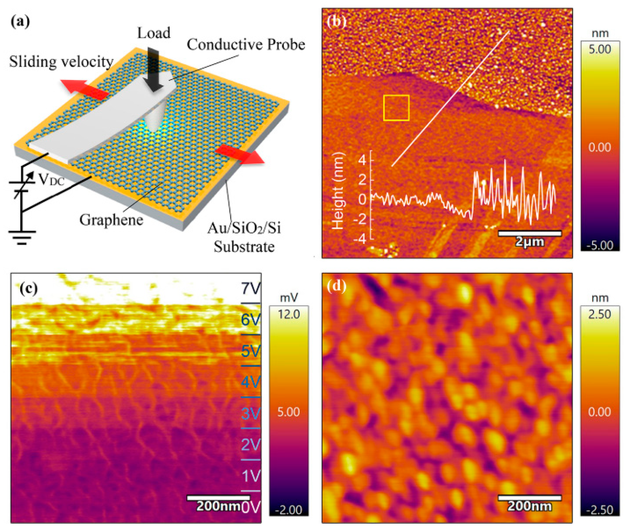 Lubricants 12 00214 g006