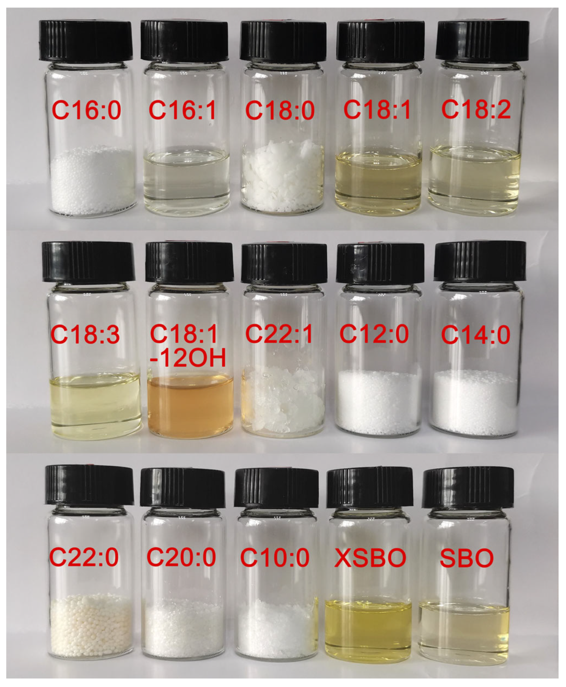 Lubricants 12 00226 g001