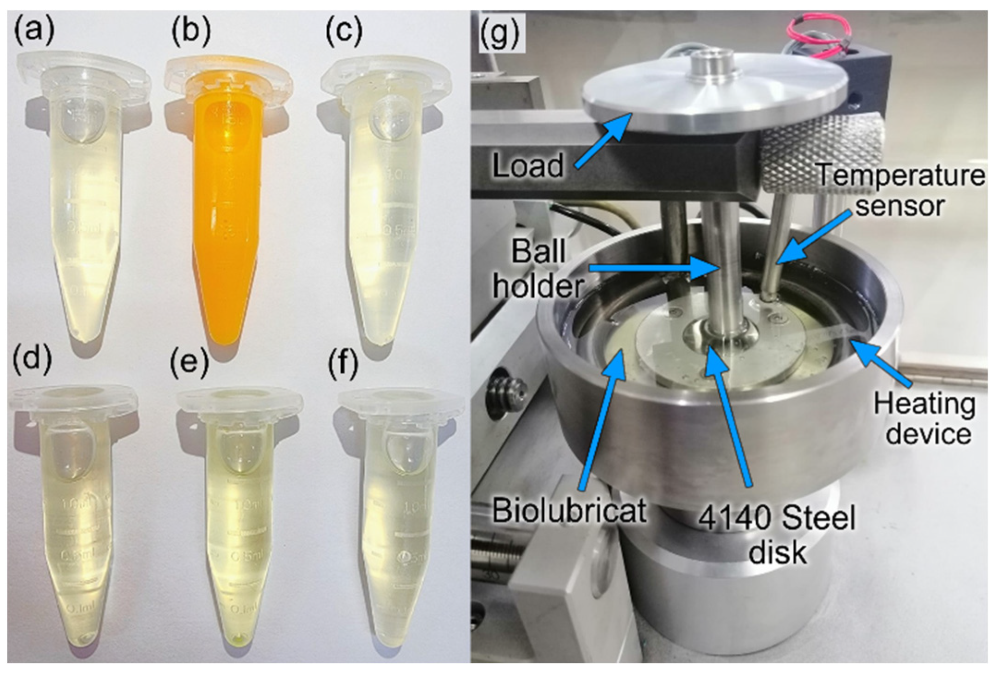 Lubricants 12 00244 g002