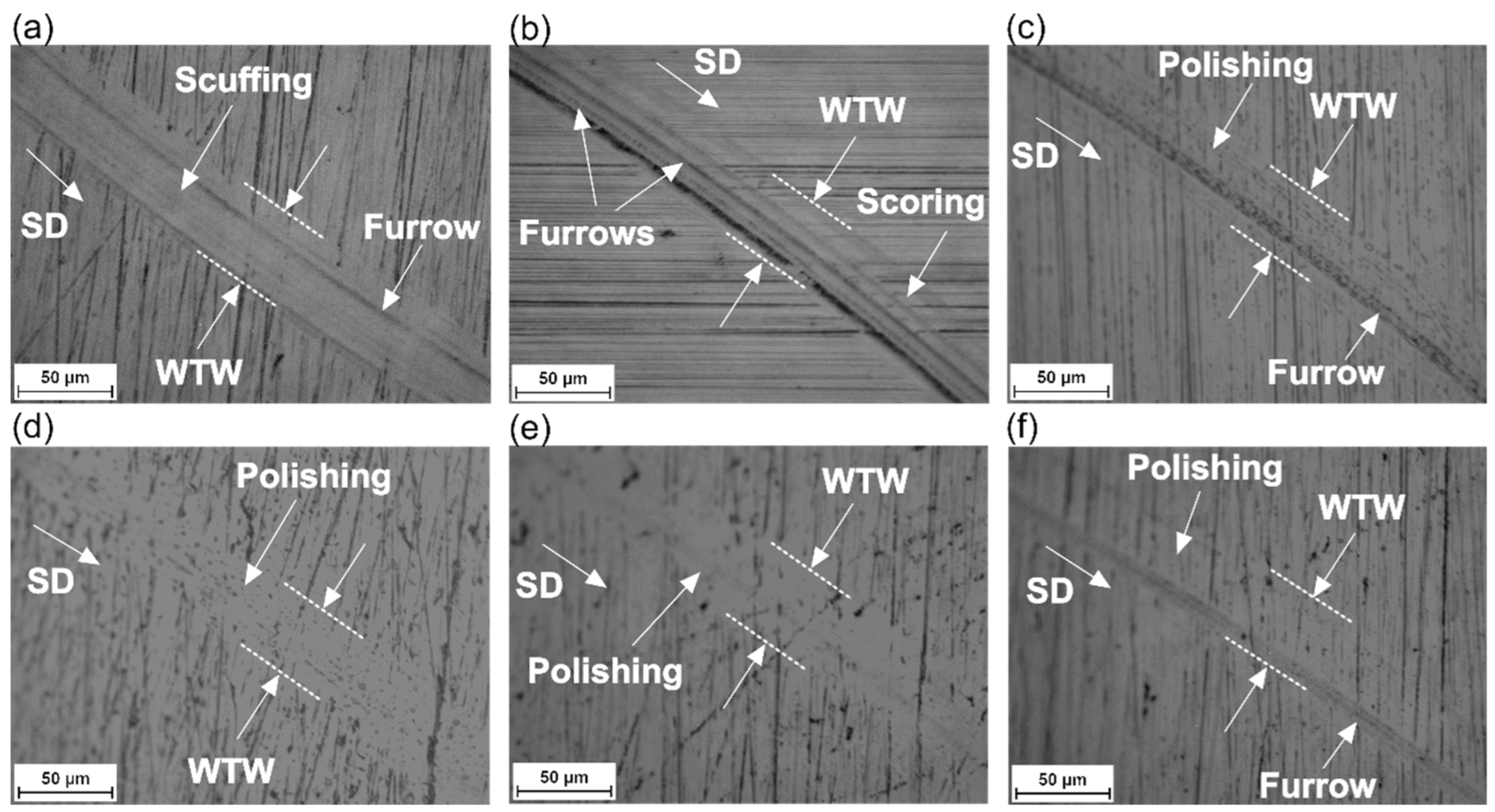 Lubricants 12 00244 g008