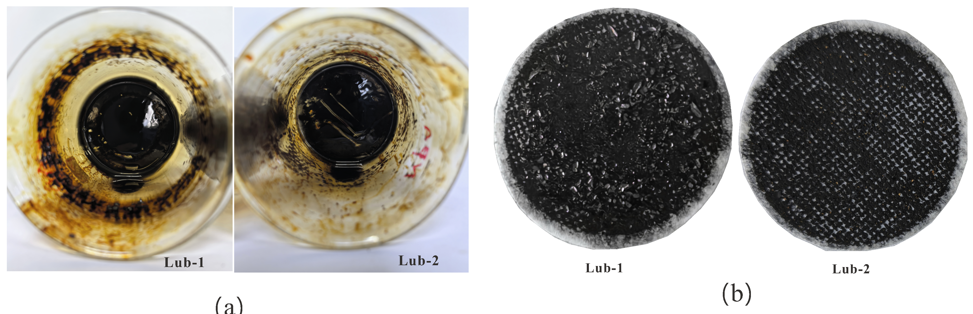 Lubricants 12 00255 g009