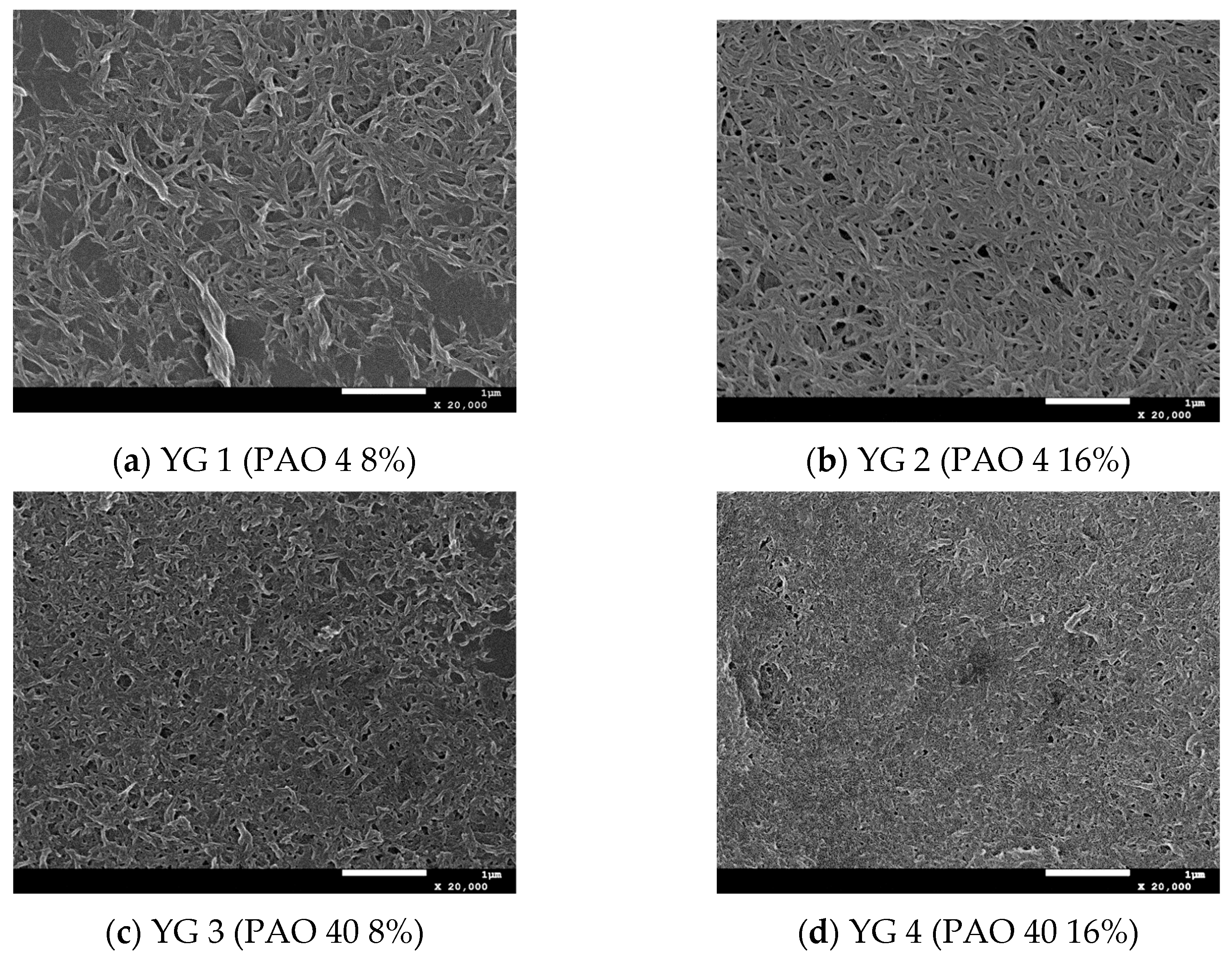 Lubricants 12 00279 g004
