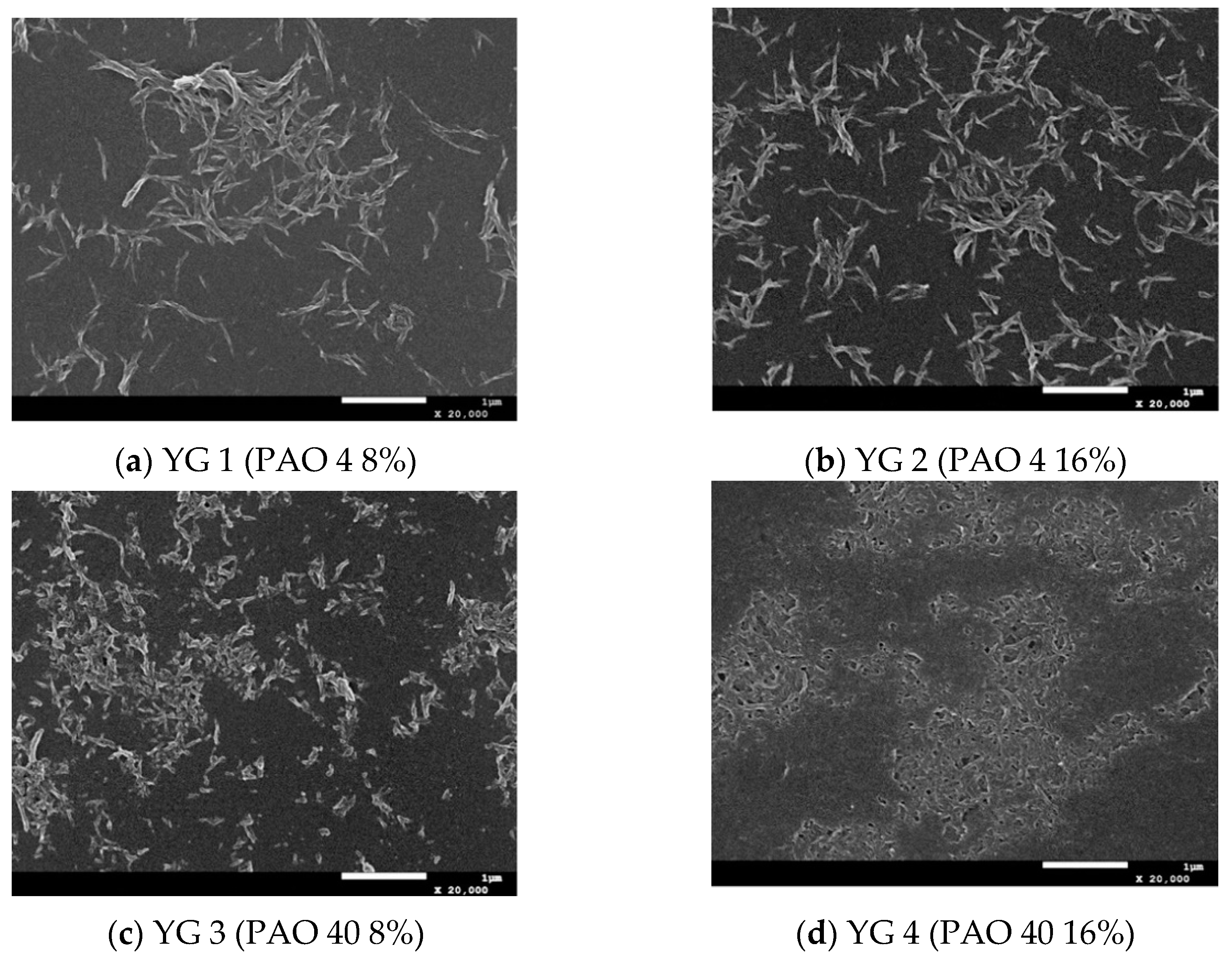 Lubricants 12 00279 g005