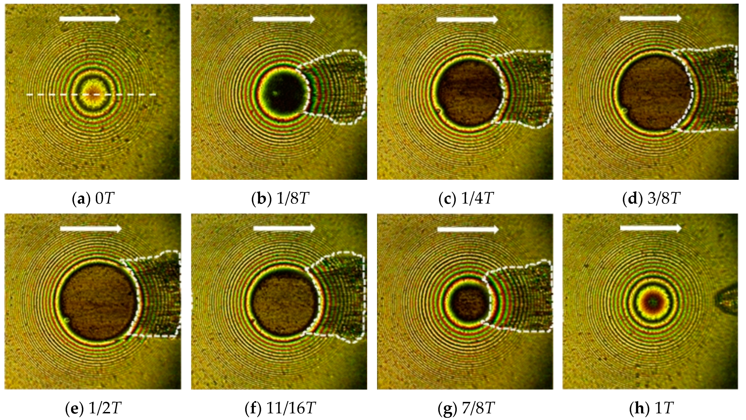 Lubricants 12 00279 g006