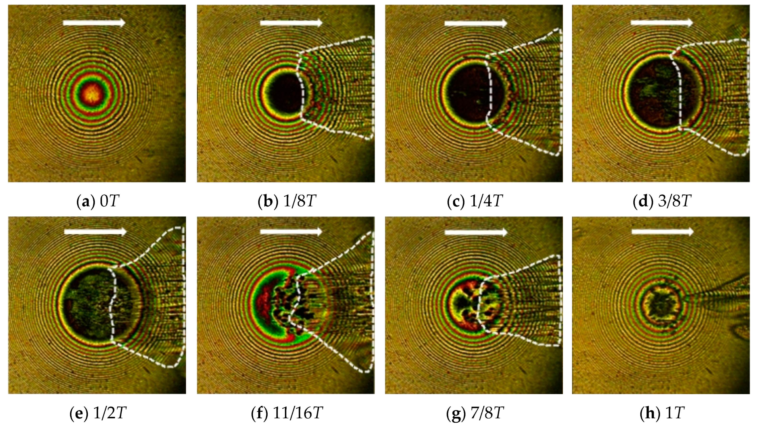Lubricants 12 00279 g008