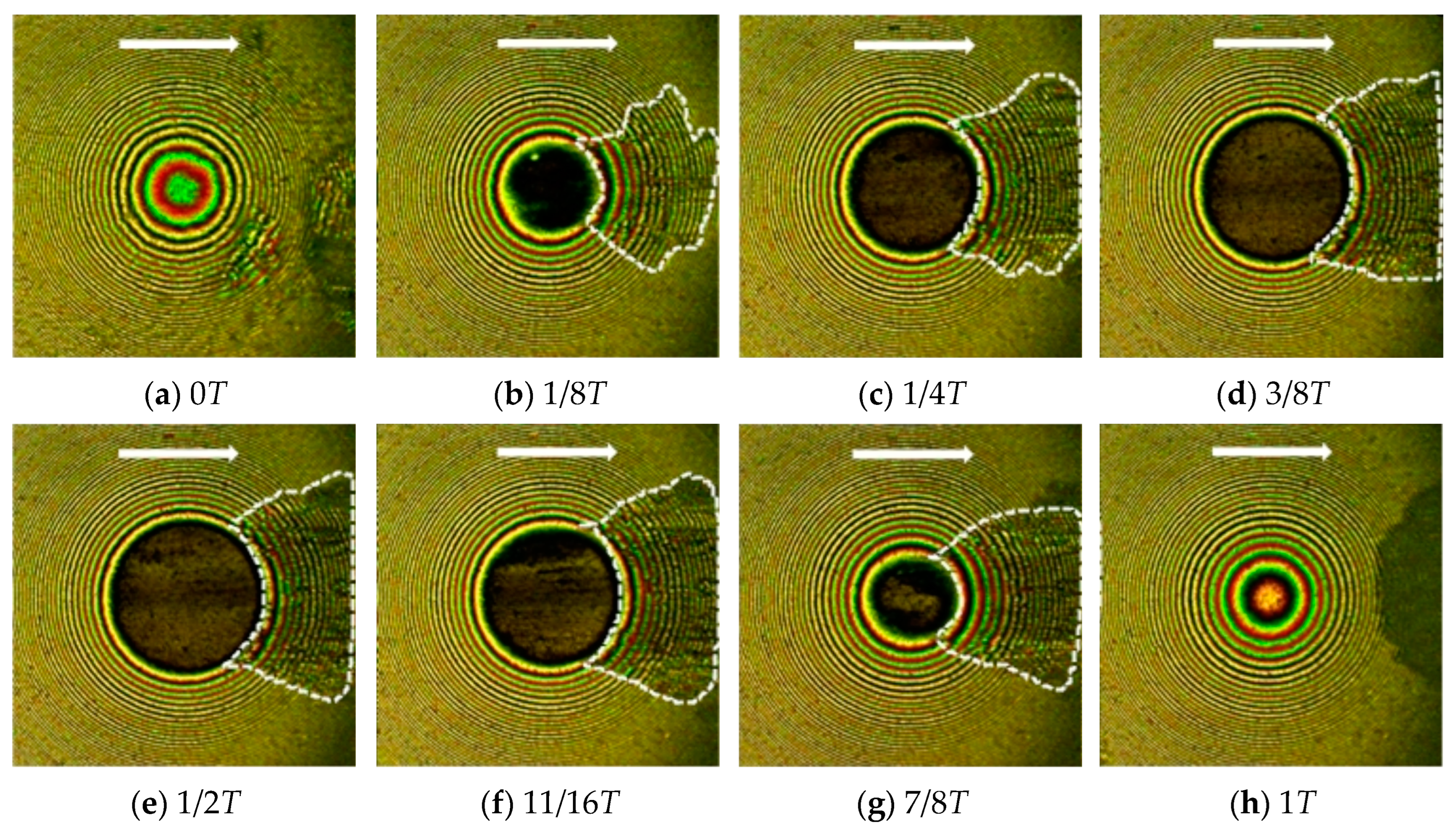 Lubricants 12 00279 g010