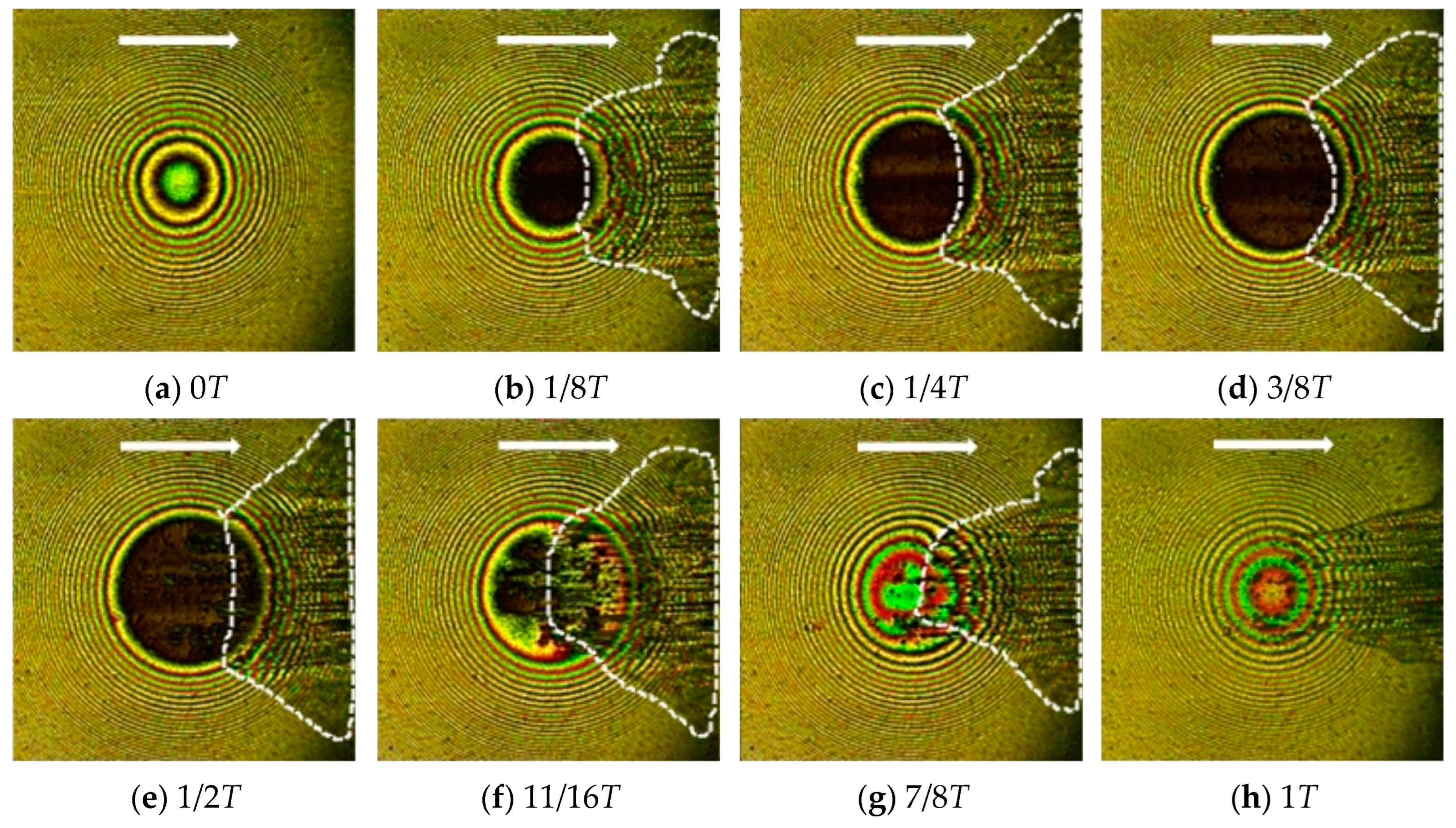 Lubricants 12 00279 g012