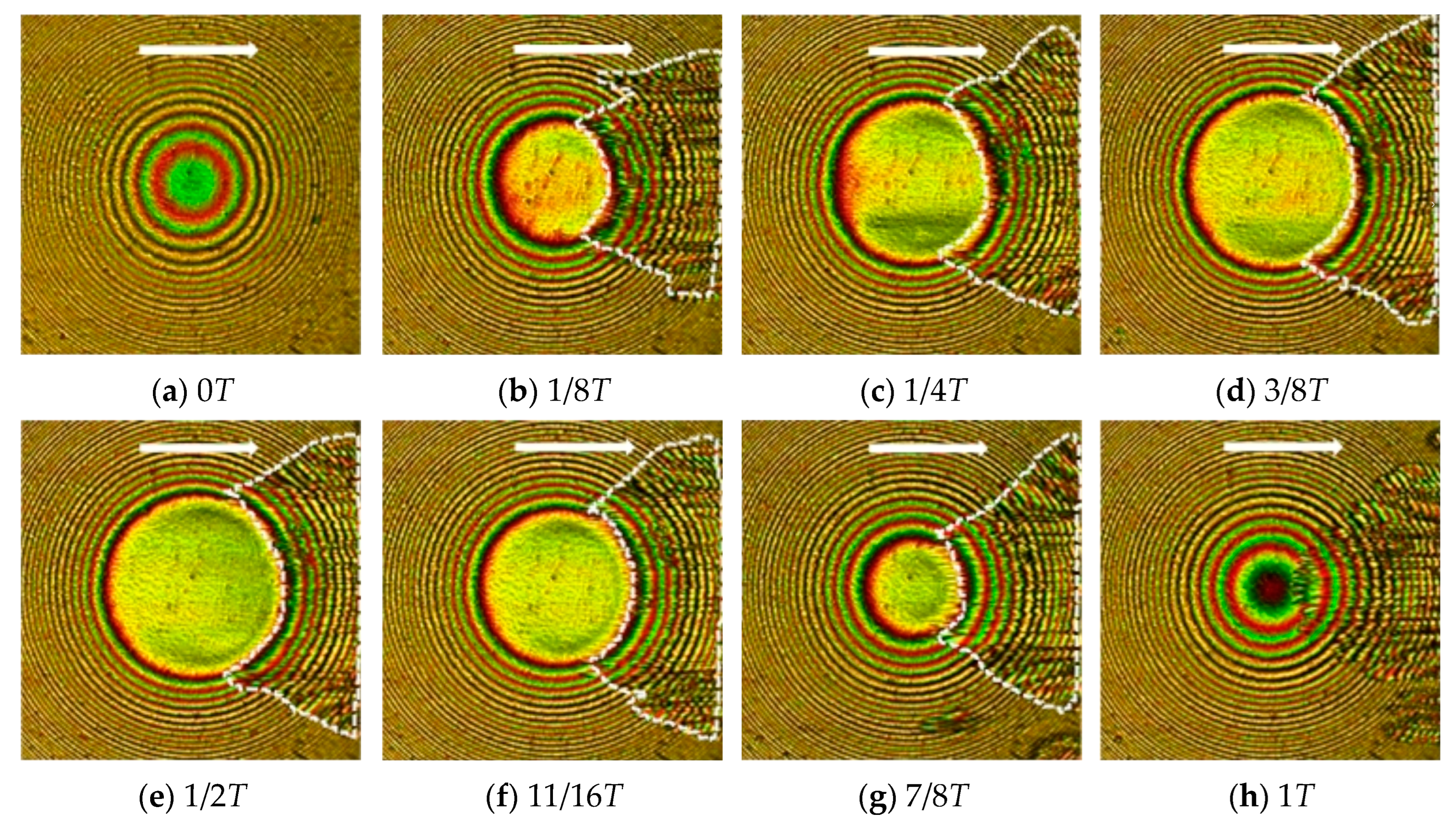 Lubricants 12 00279 g014