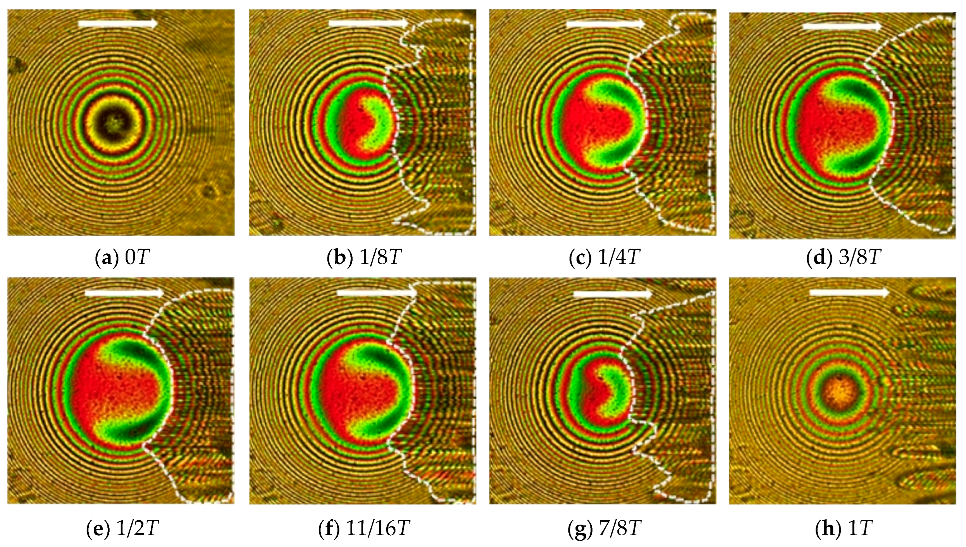 Lubricants 12 00279 g016