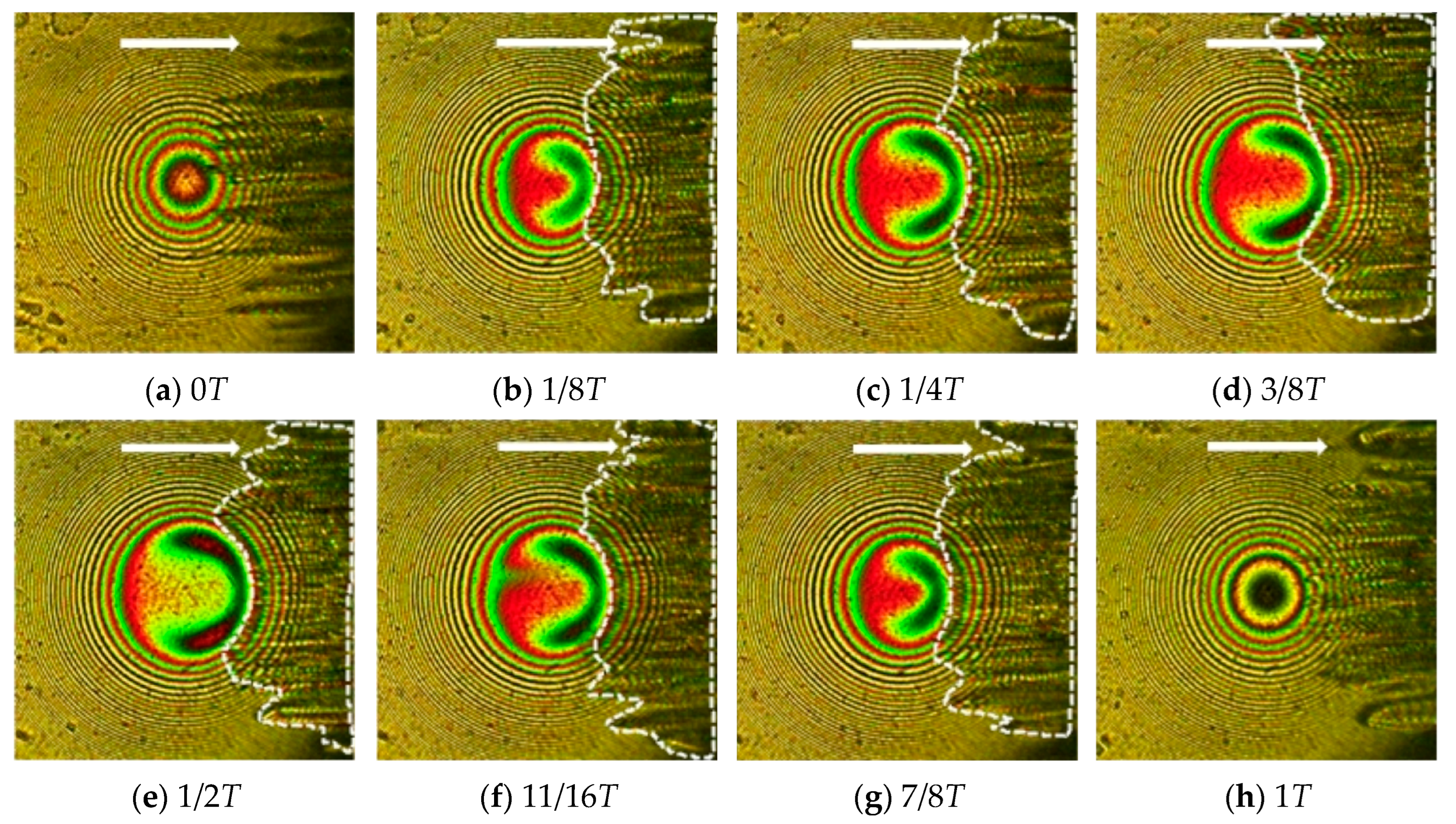Lubricants 12 00279 g020