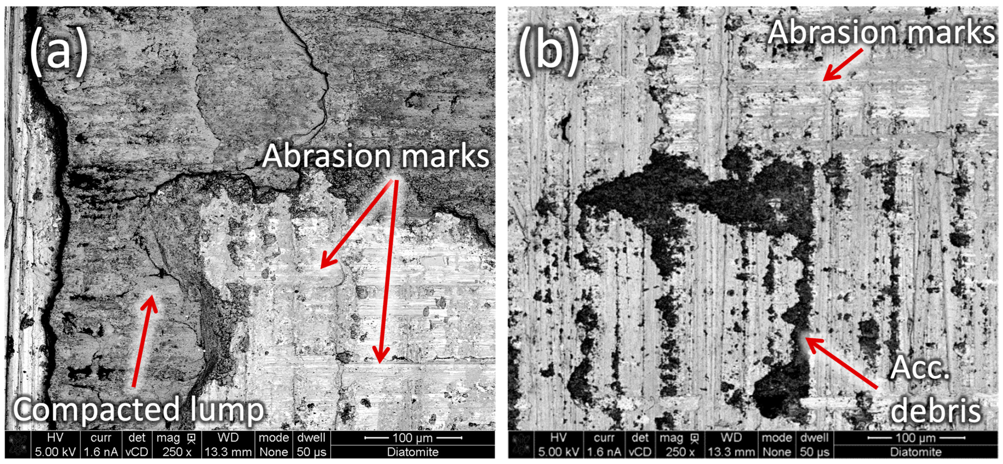 Lubricants 12 00297 g008