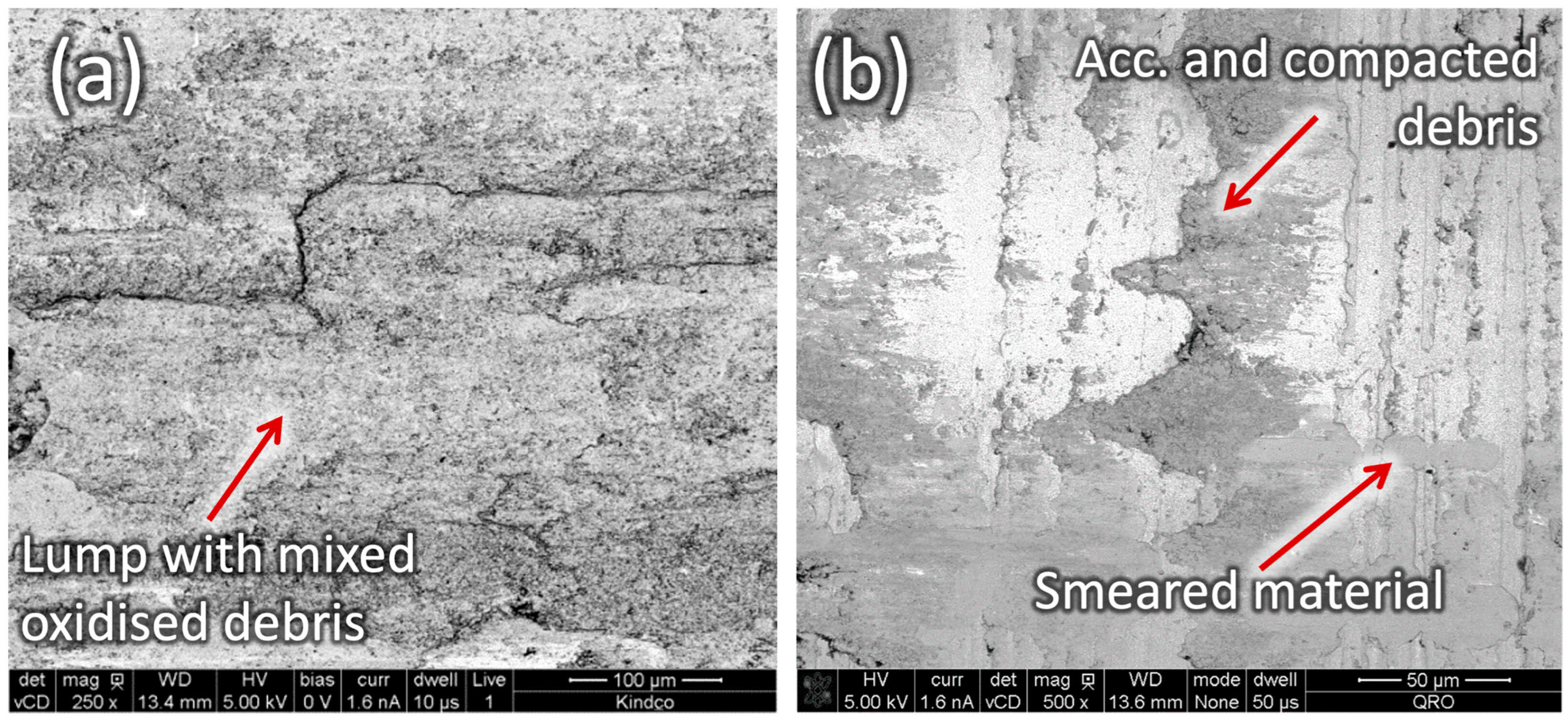 Lubricants 12 00297 g009