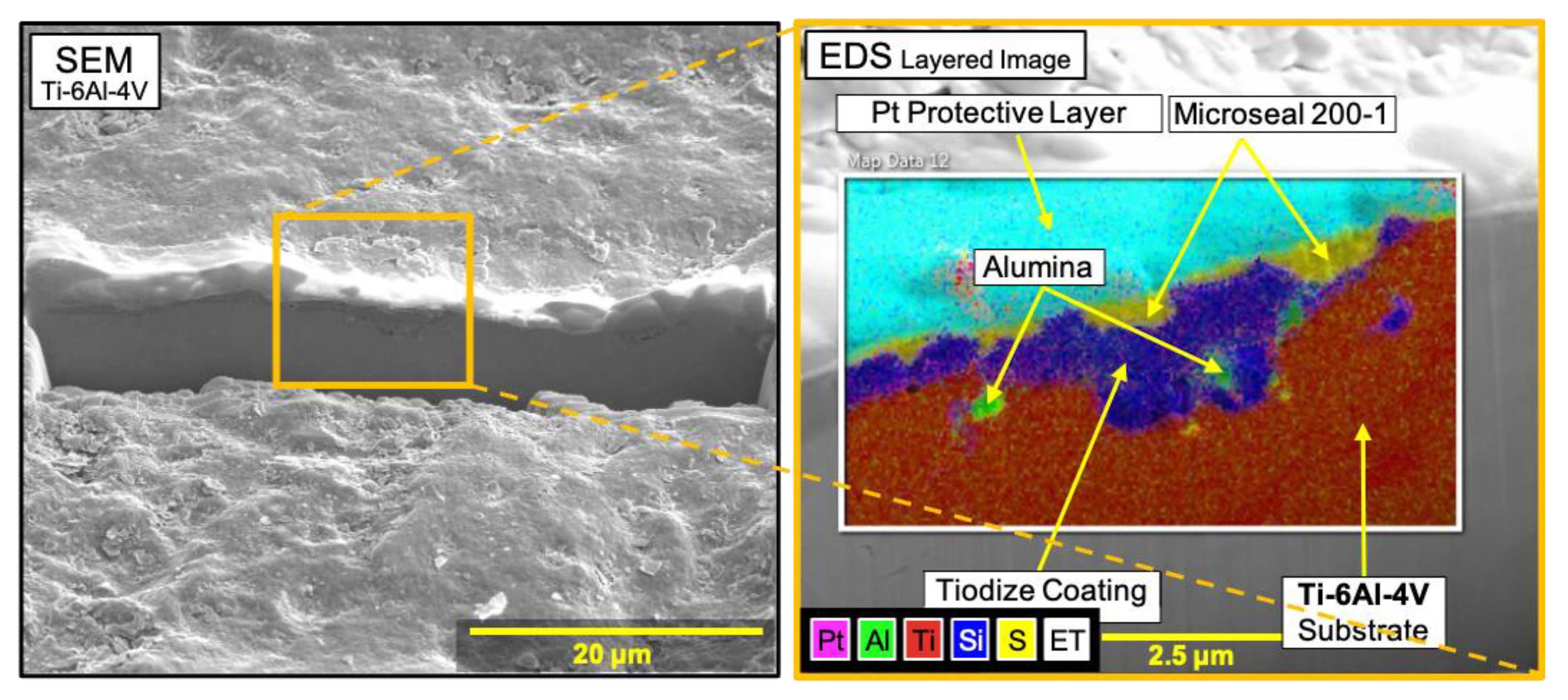 Lubricants 12 00307 g009