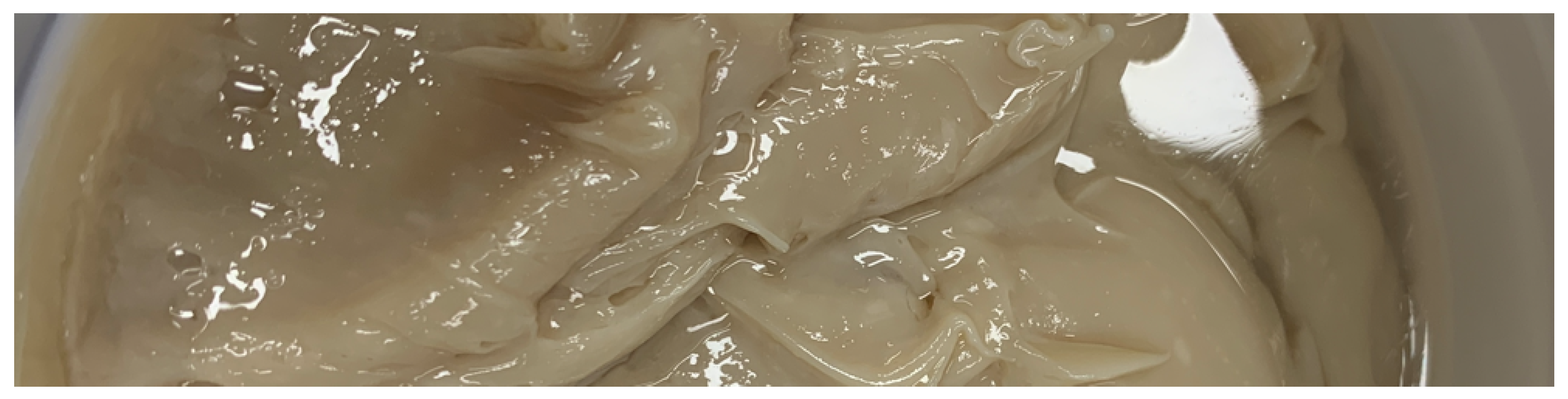 Lubricants 12 00310 g004