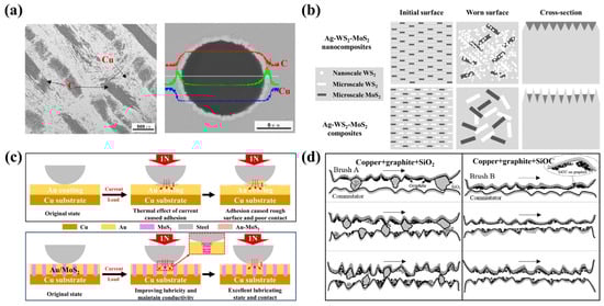 Lubricants 12 00349 g004