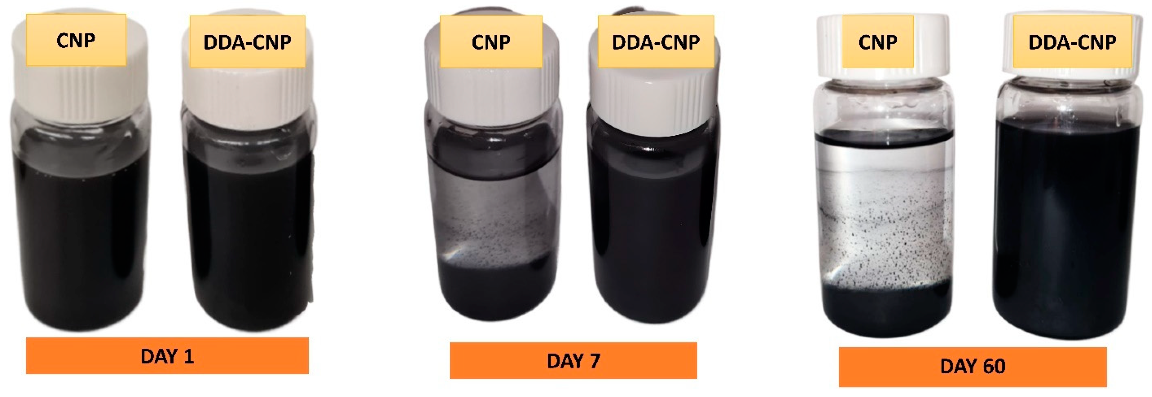 Lubricants 12 00373 g004