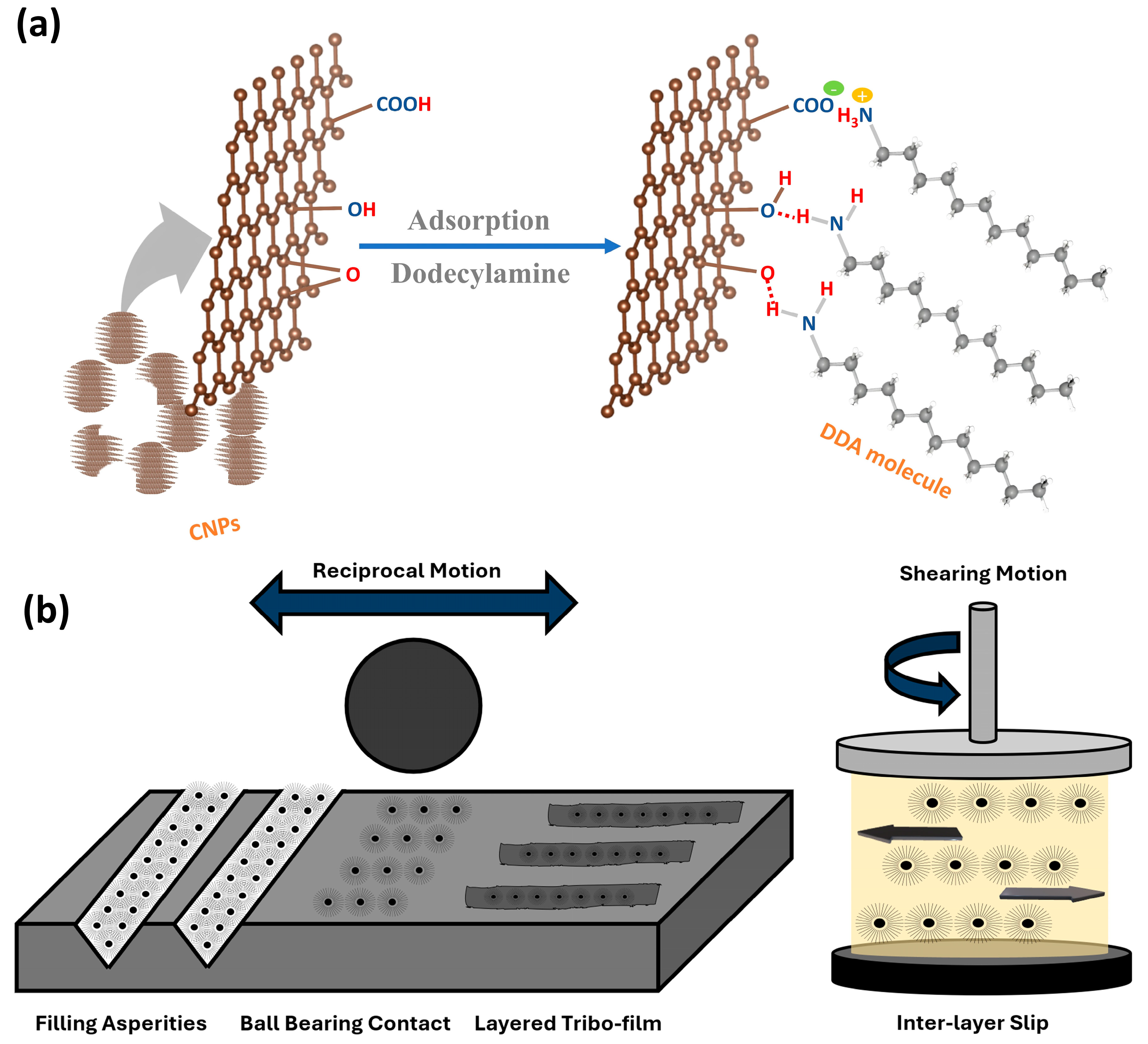 Lubricants 12 00373 g010
