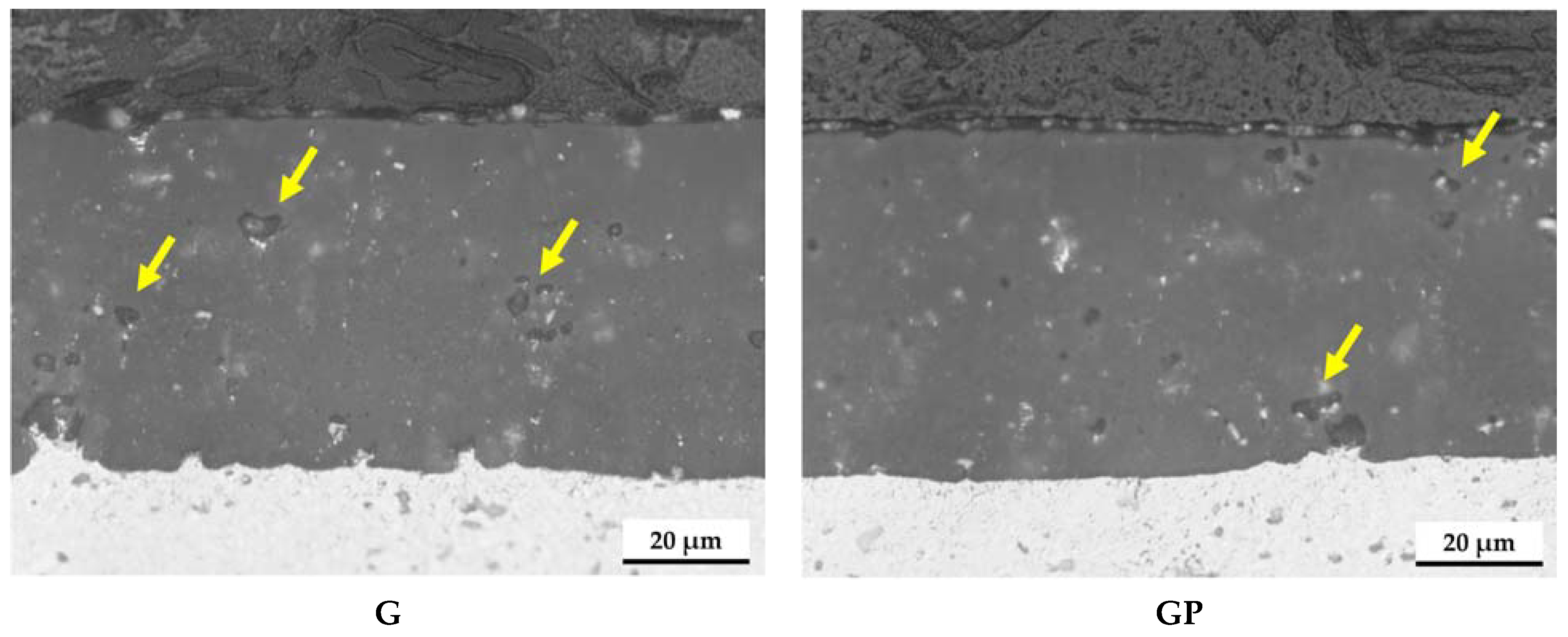 Lubricants 12 00383 g001 Lubricants 12 00383 g001