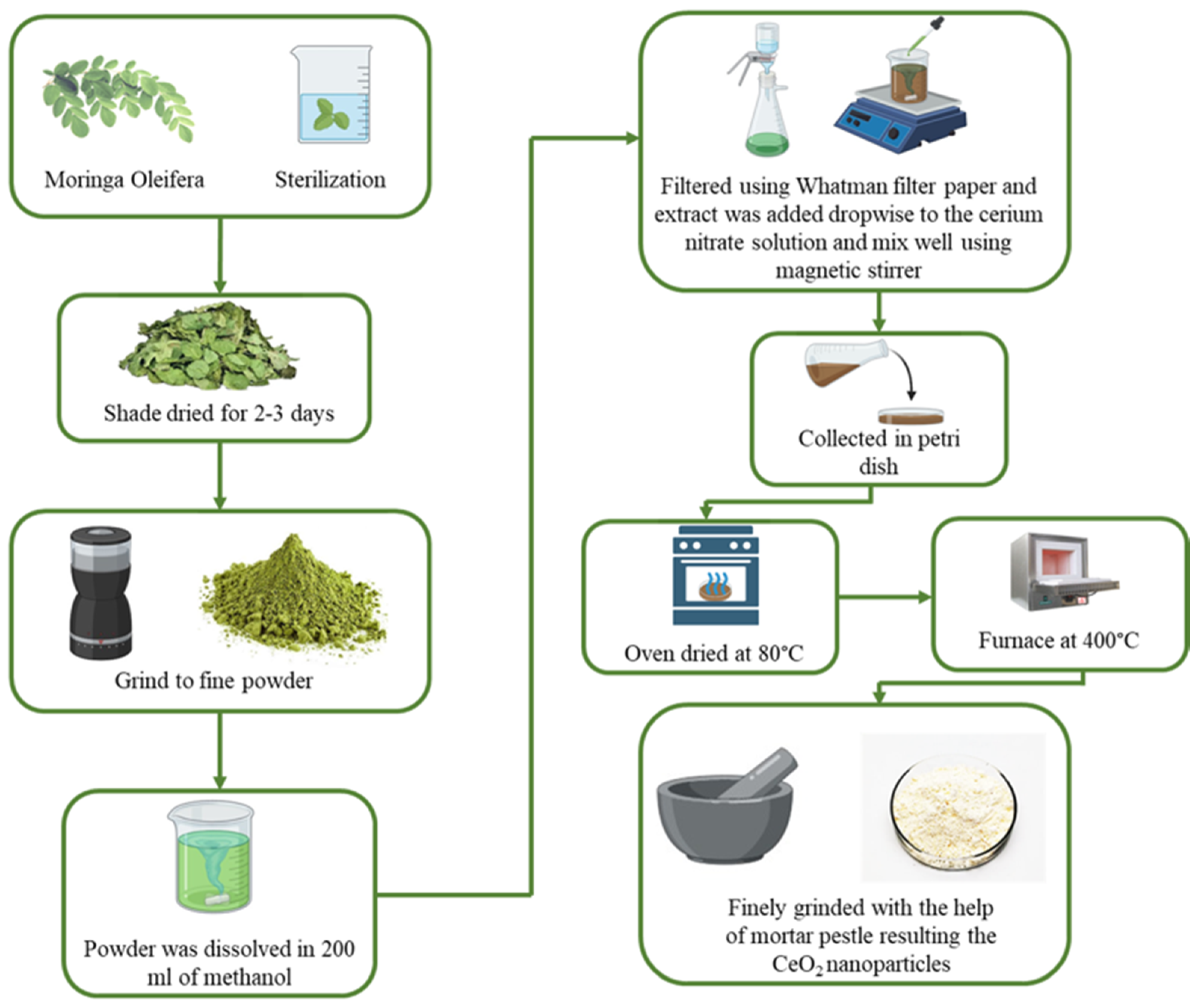 Lubricants 12 00400 g001
