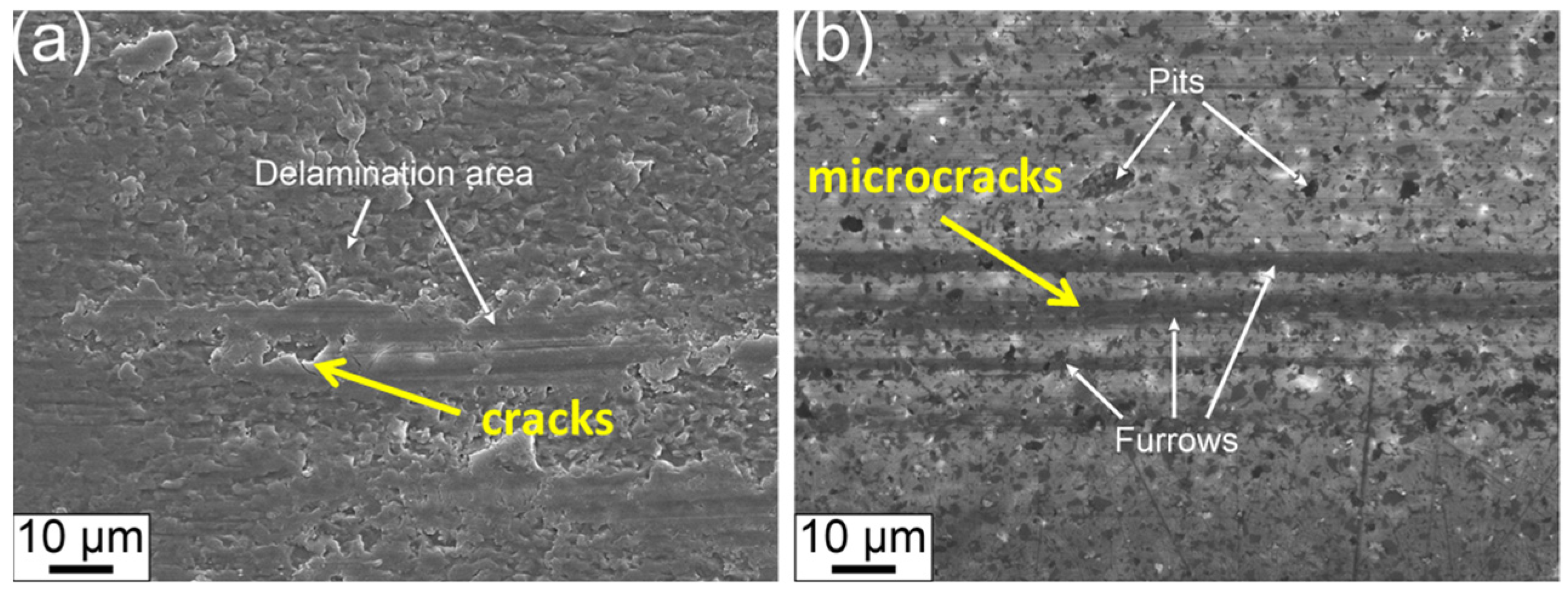Lubricants 13 00003 g007
