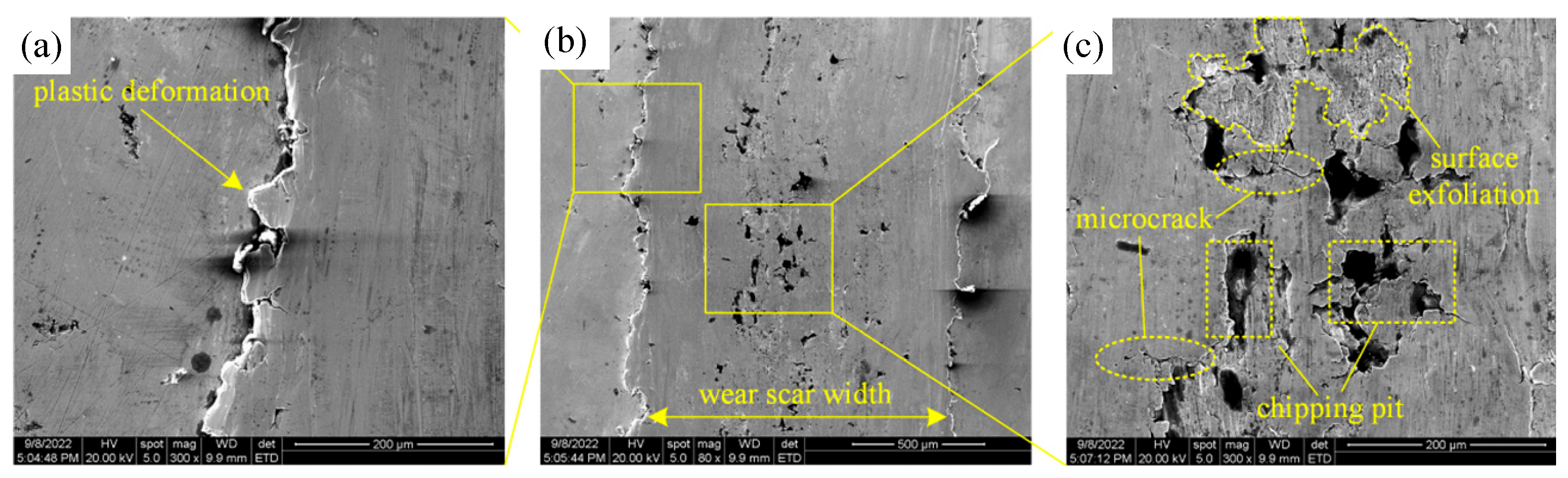 Lubricants 13 00004 g010