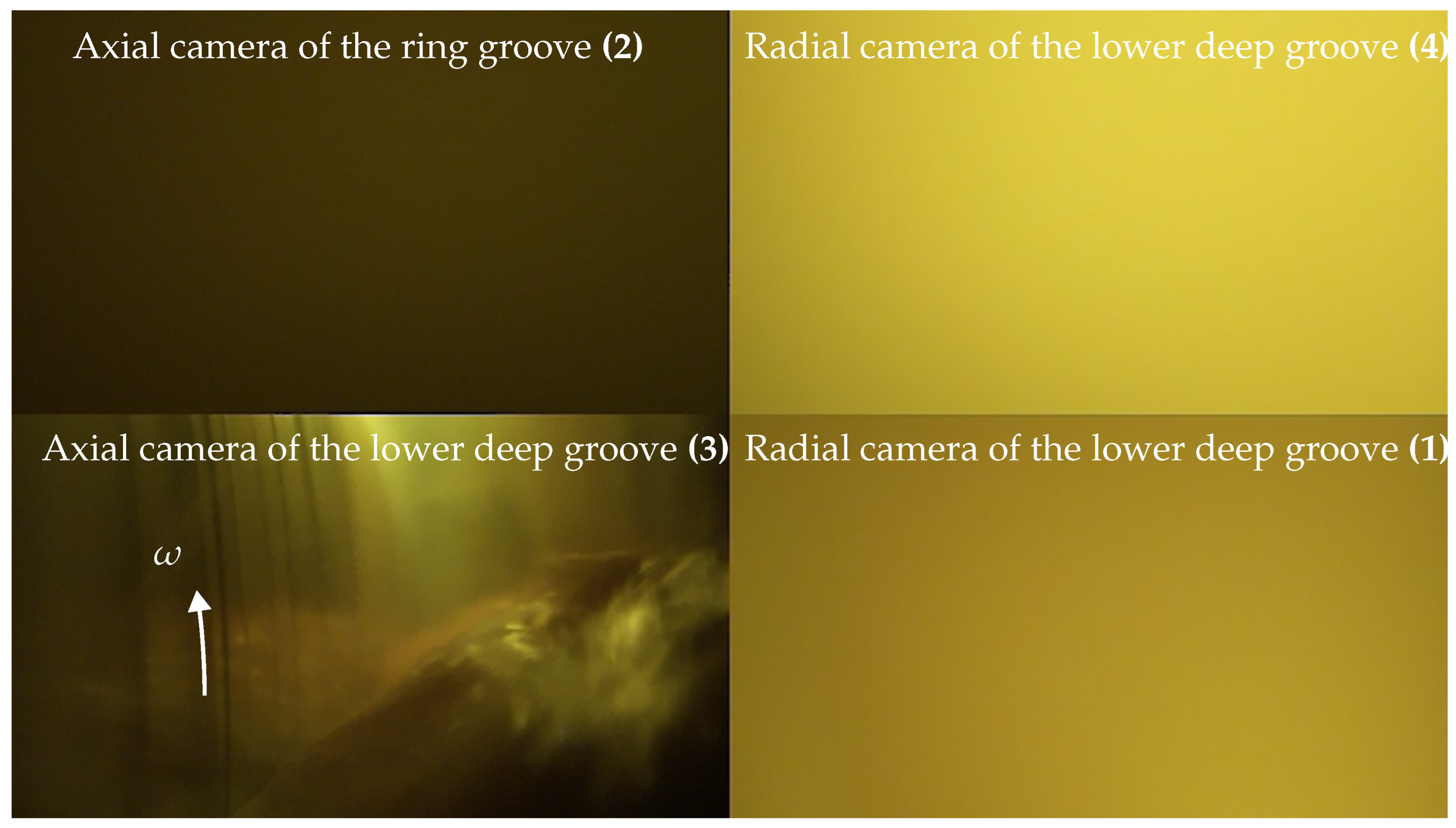 Lubricants 13 00007 g010