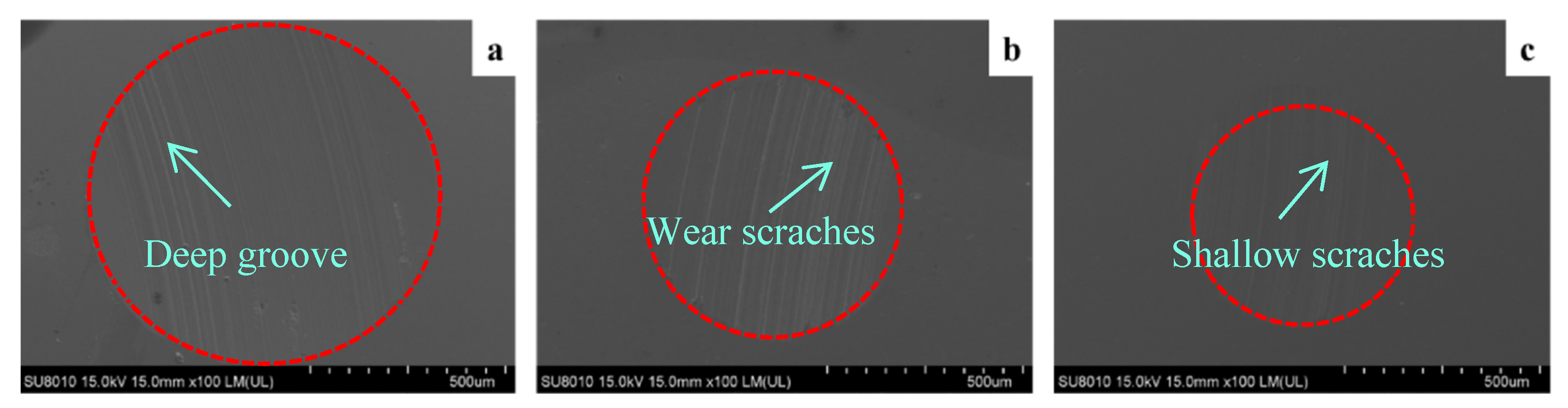 Lubricants 13 00008 g013