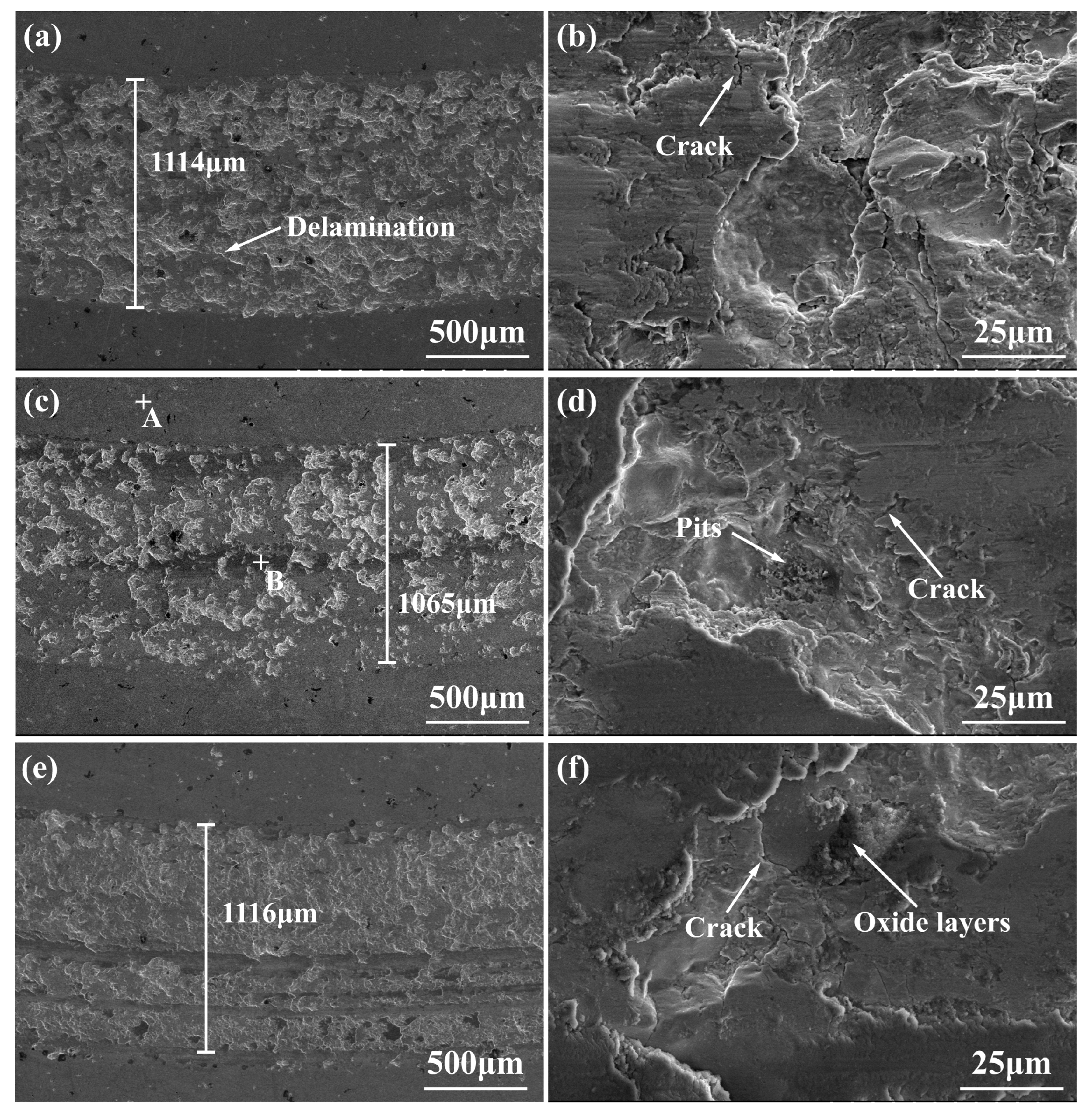 Lubricants 13 00010 g009