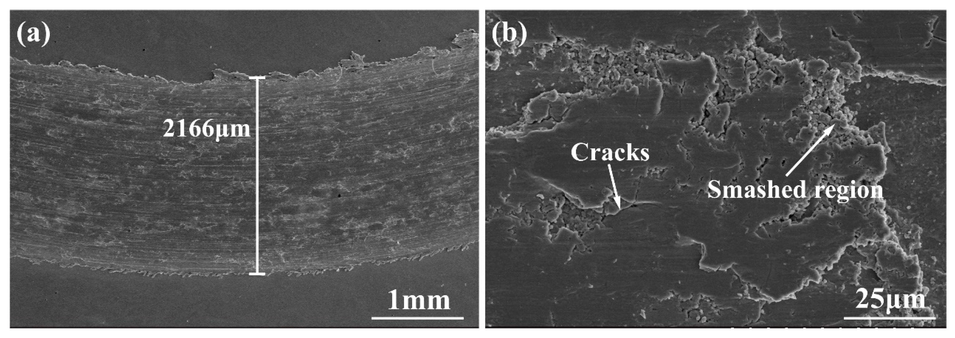 Lubricants 13 00010 g010