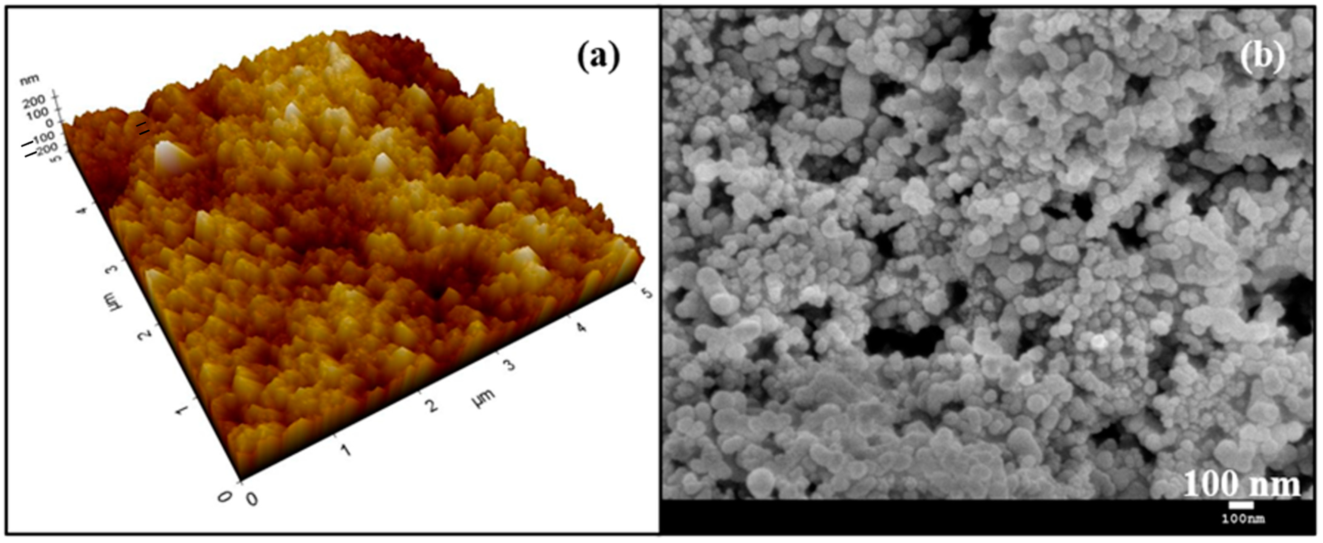 Lubricants 13 00016 g002