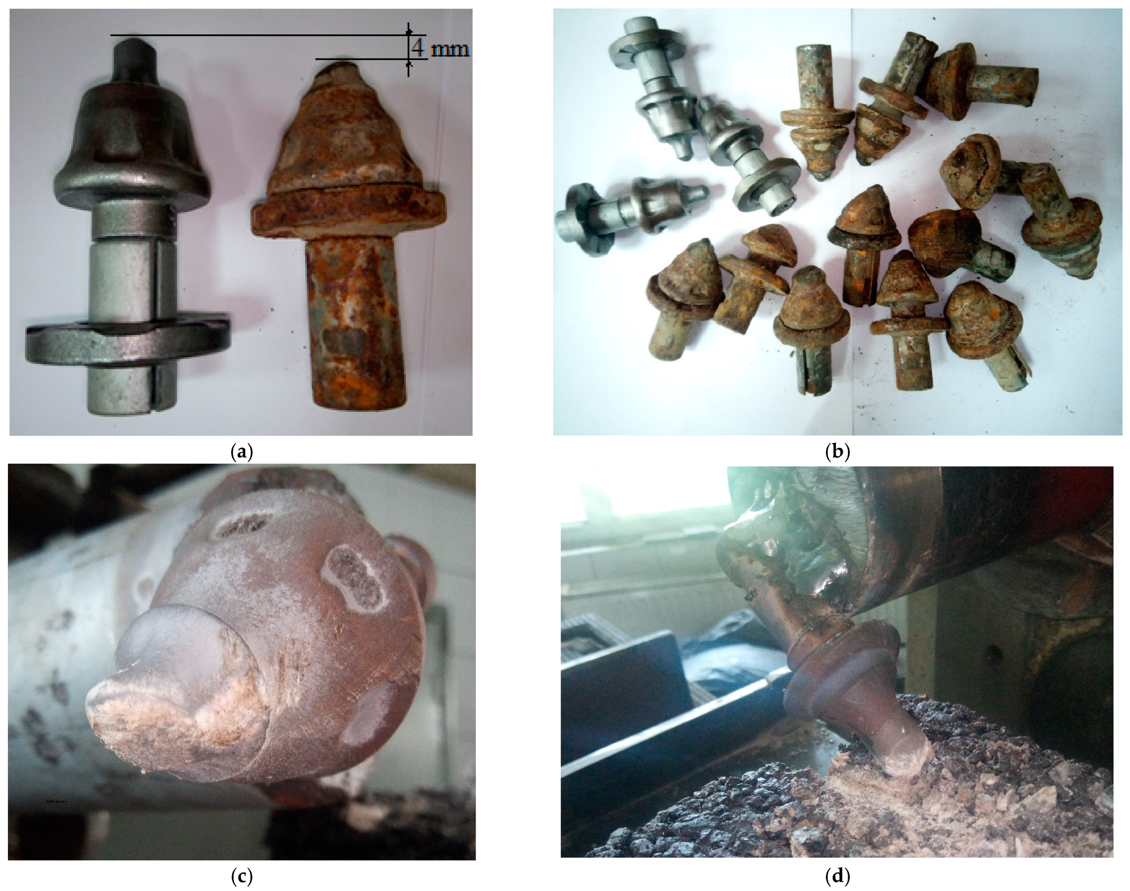 Lubricants 13 00017 g002