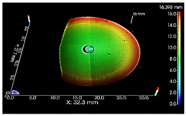 Lubricants 13 00020 i001