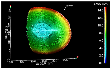 Lubricants 13 00020 i009
