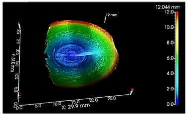 Lubricants 13 00020 i011