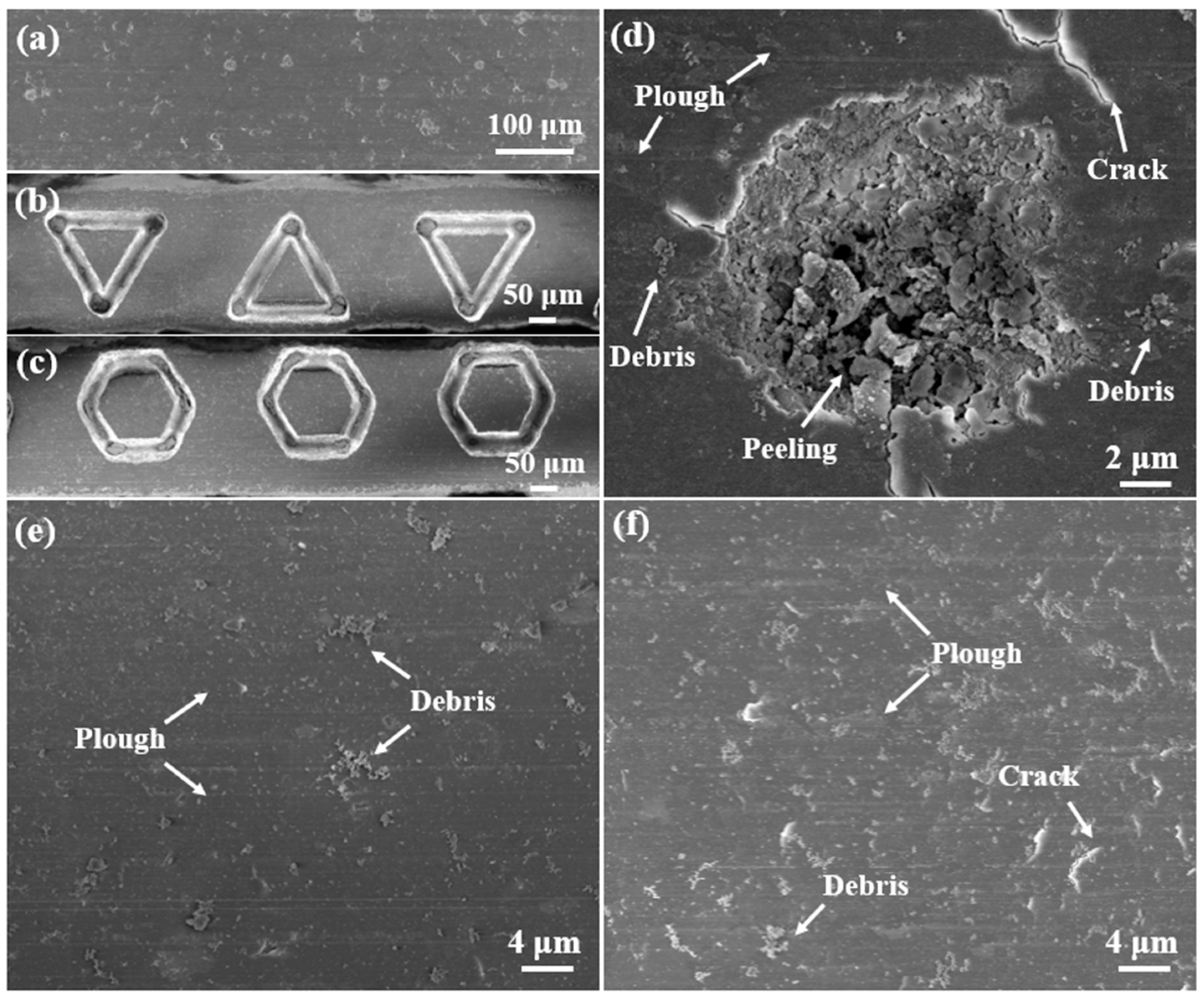 Lubricants 13 00021 g006
