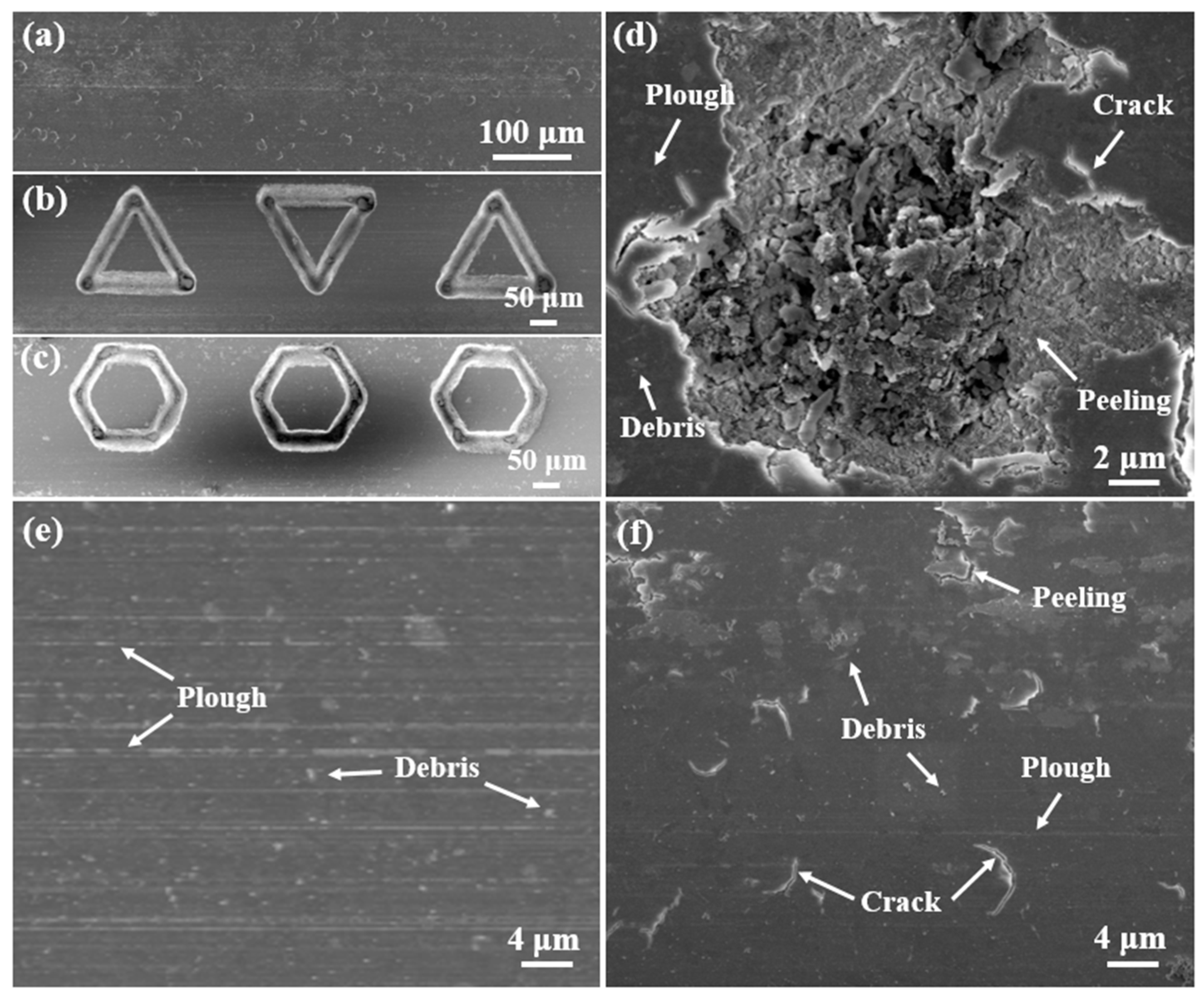Lubricants 13 00021 g007