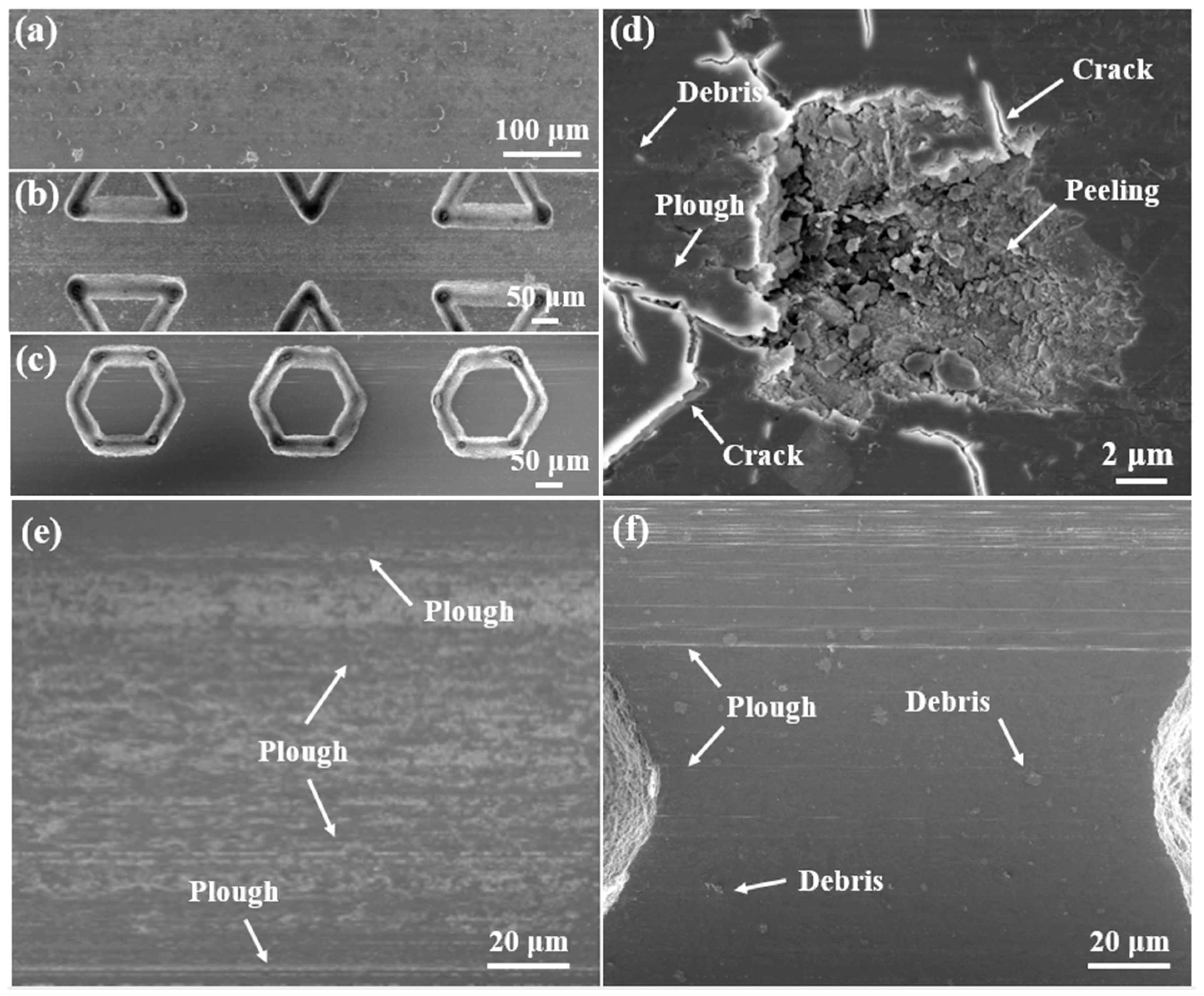 Lubricants 13 00021 g008