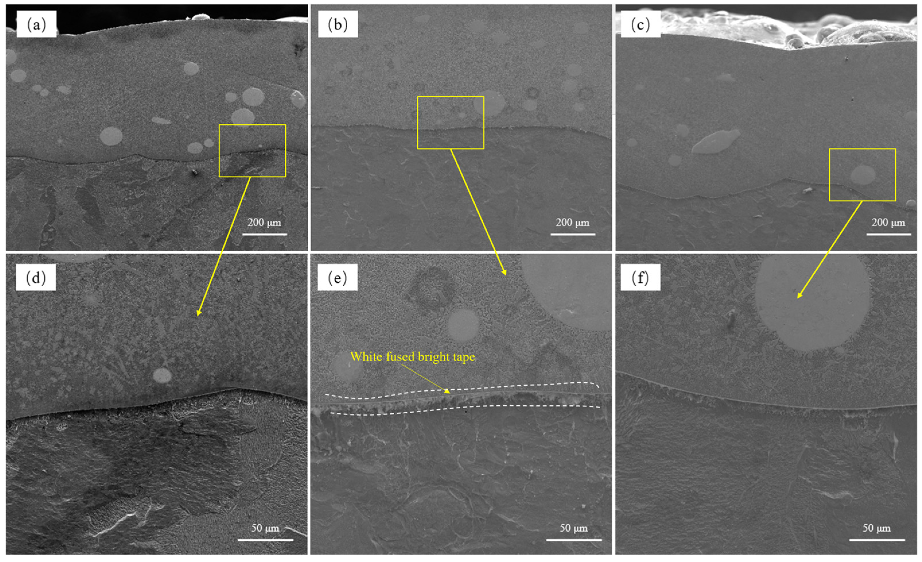 Lubricants 13 00024 g002