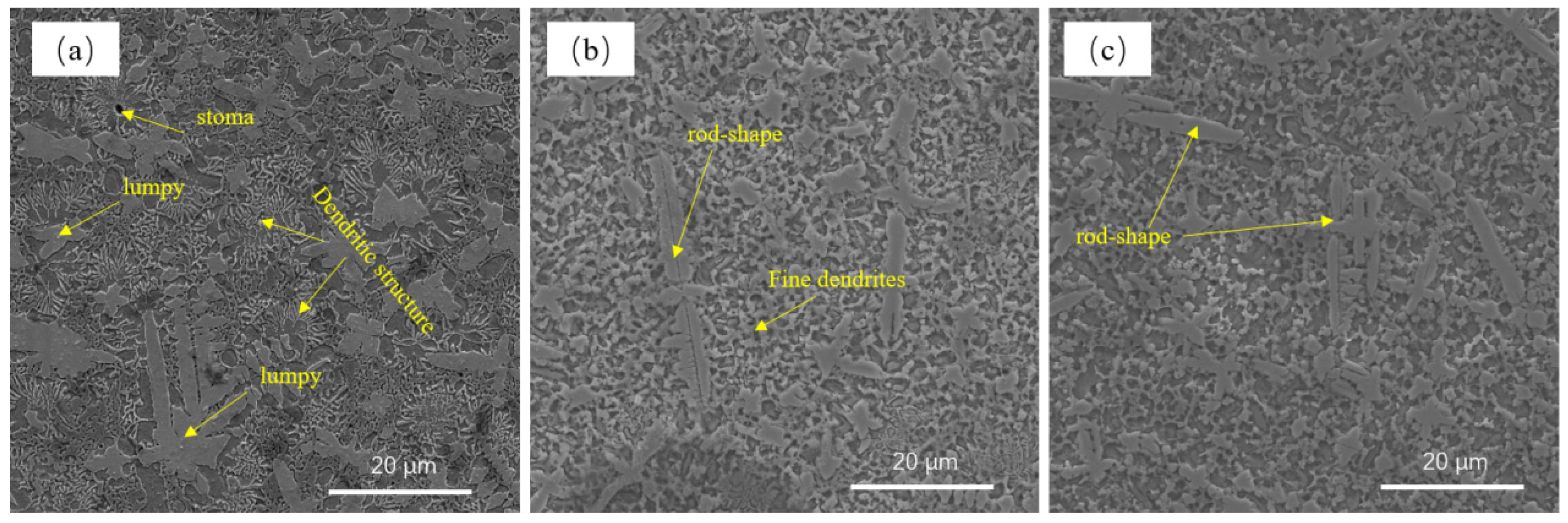 Lubricants 13 00024 g005