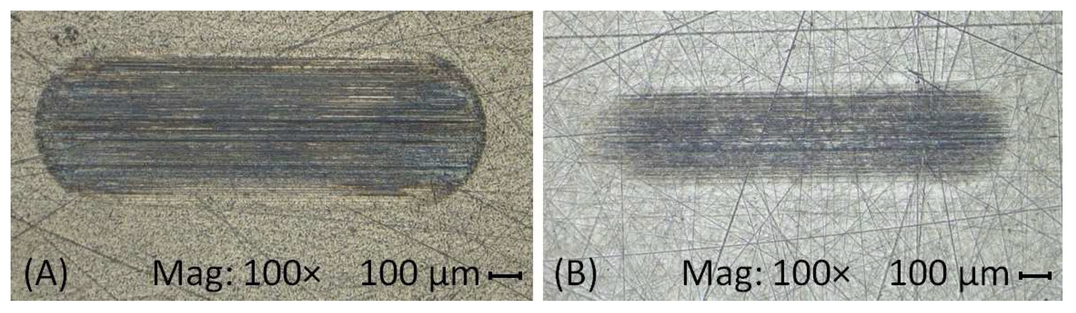 Lubricants 13 00028 g002
