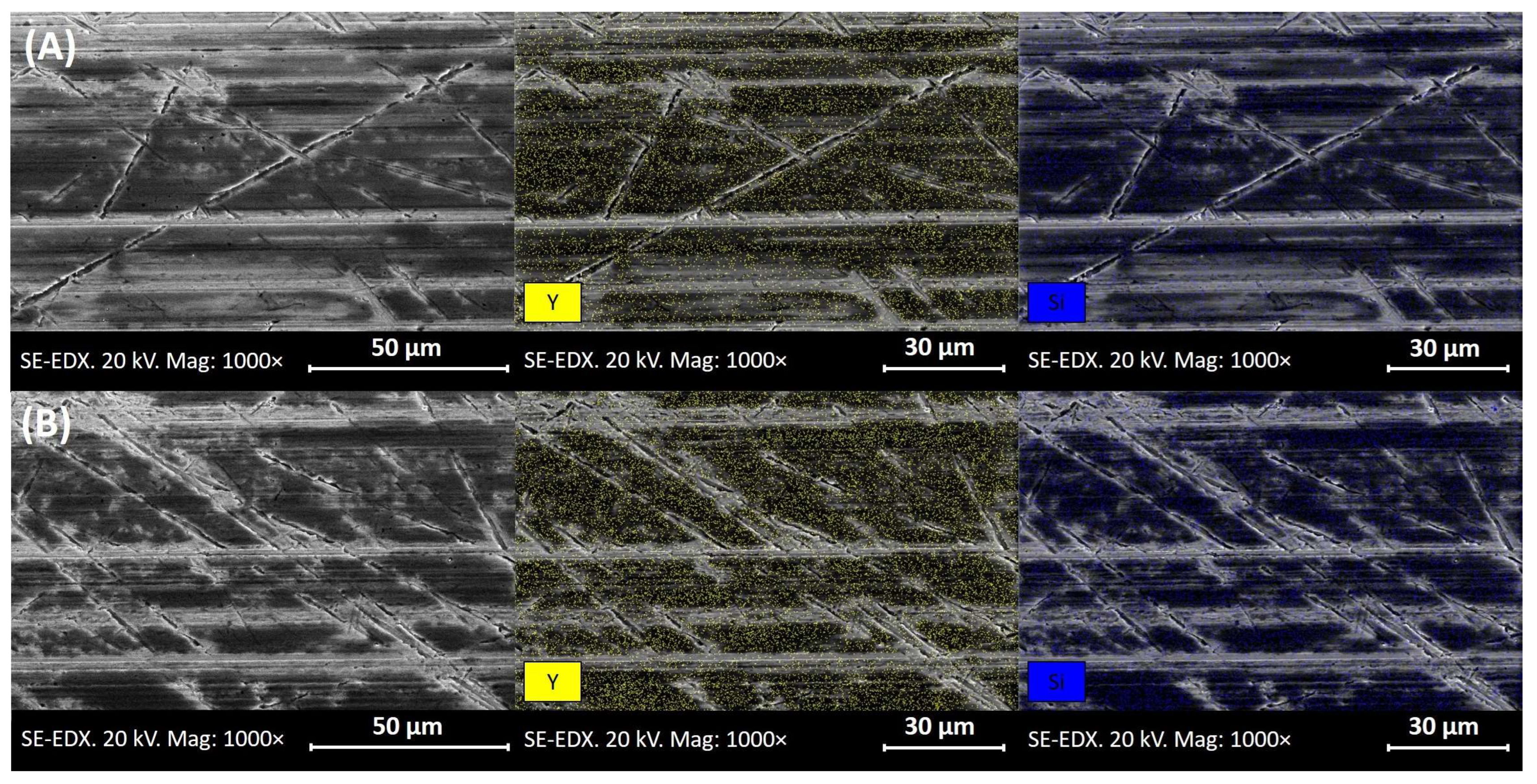 Lubricants 13 00028 g005