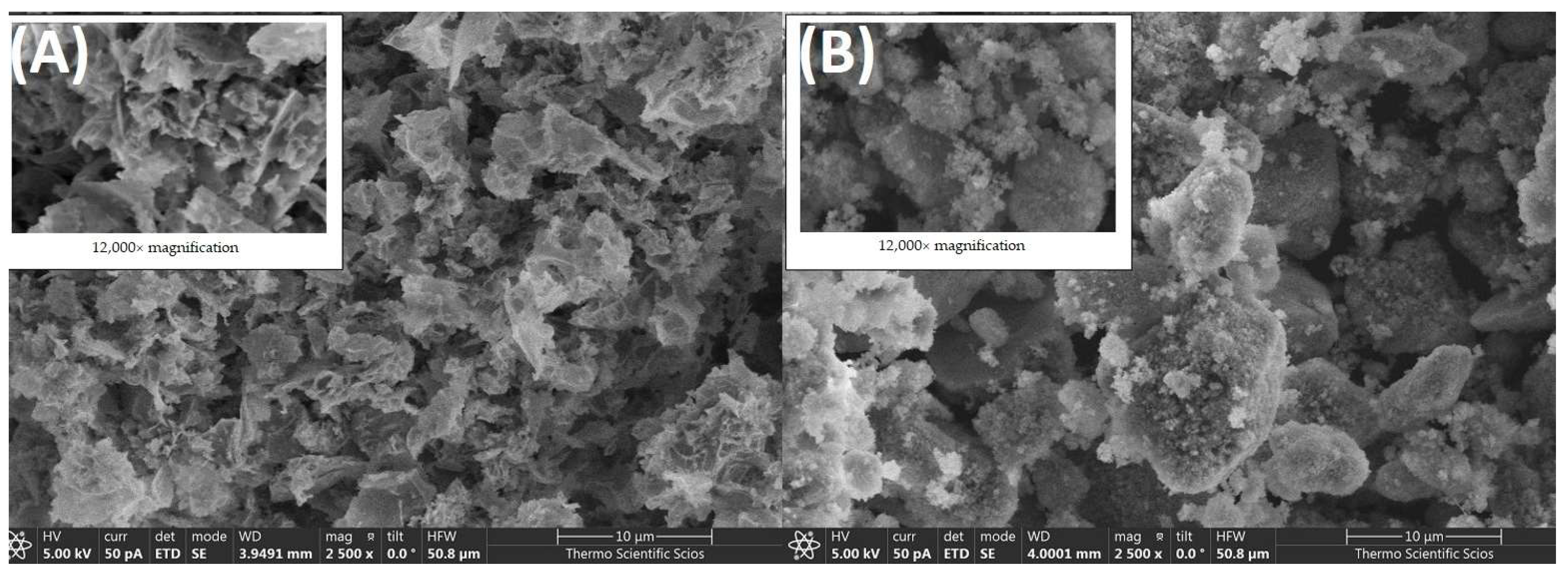 Lubricants 13 00028 g007