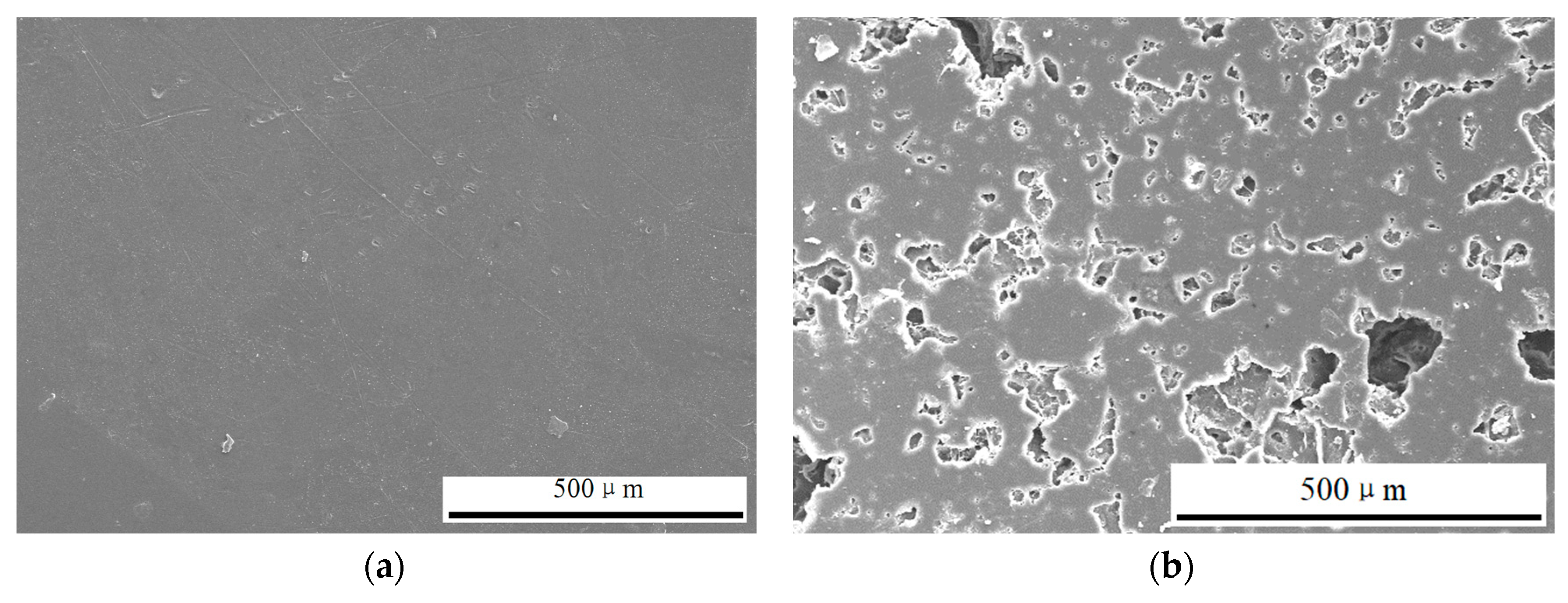 Lubricants 13 00031 g002 Lubricants 13 00031 g002