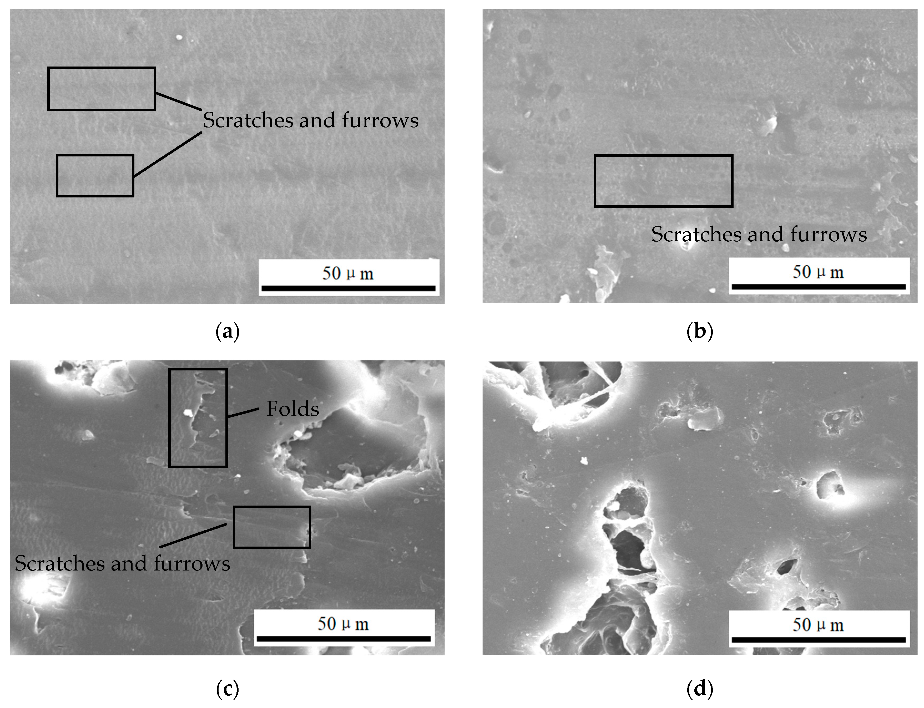 Lubricants 13 00031 g010 Lubricants 13 00031 g010