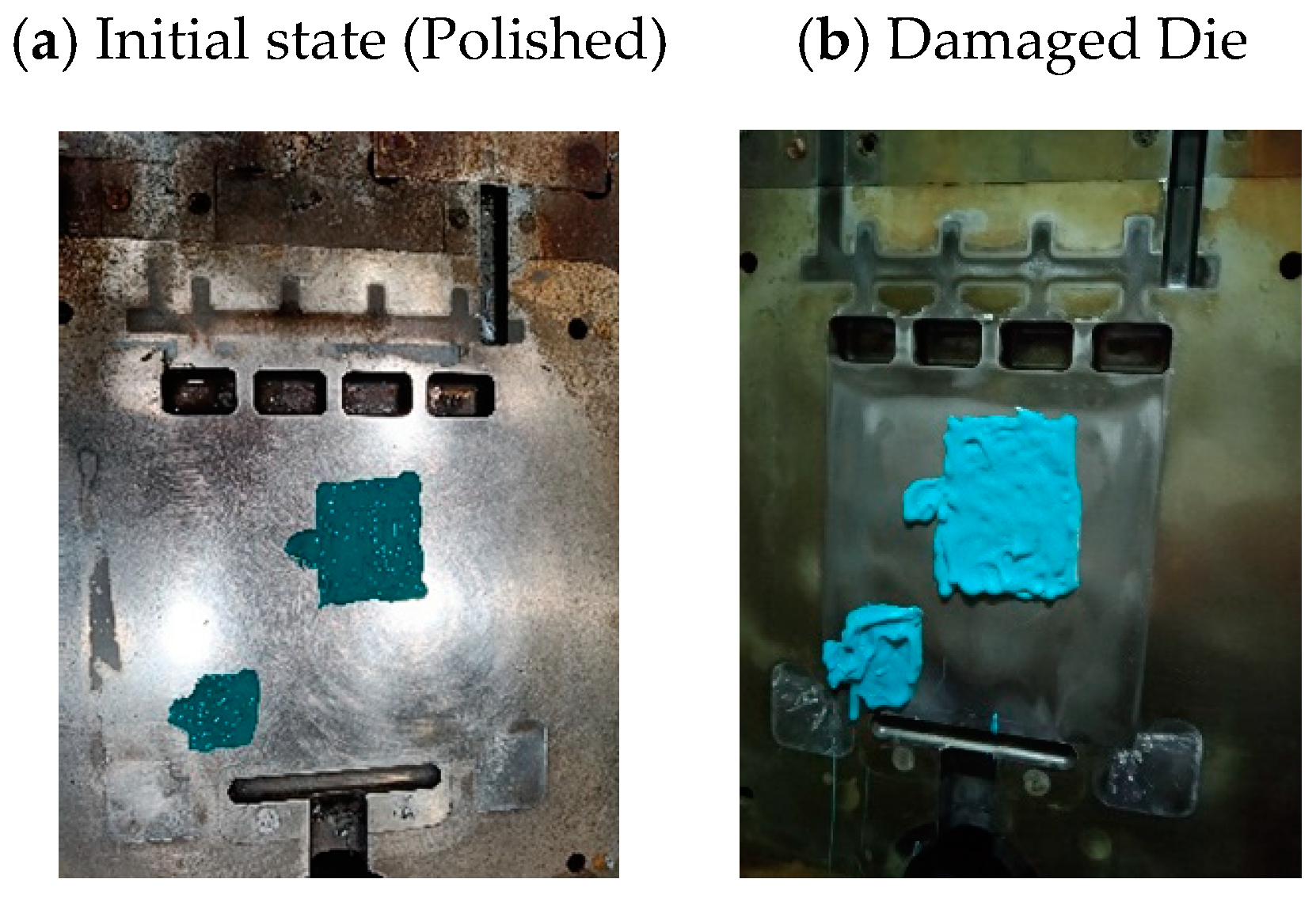 Lubricants 13 00032 g006