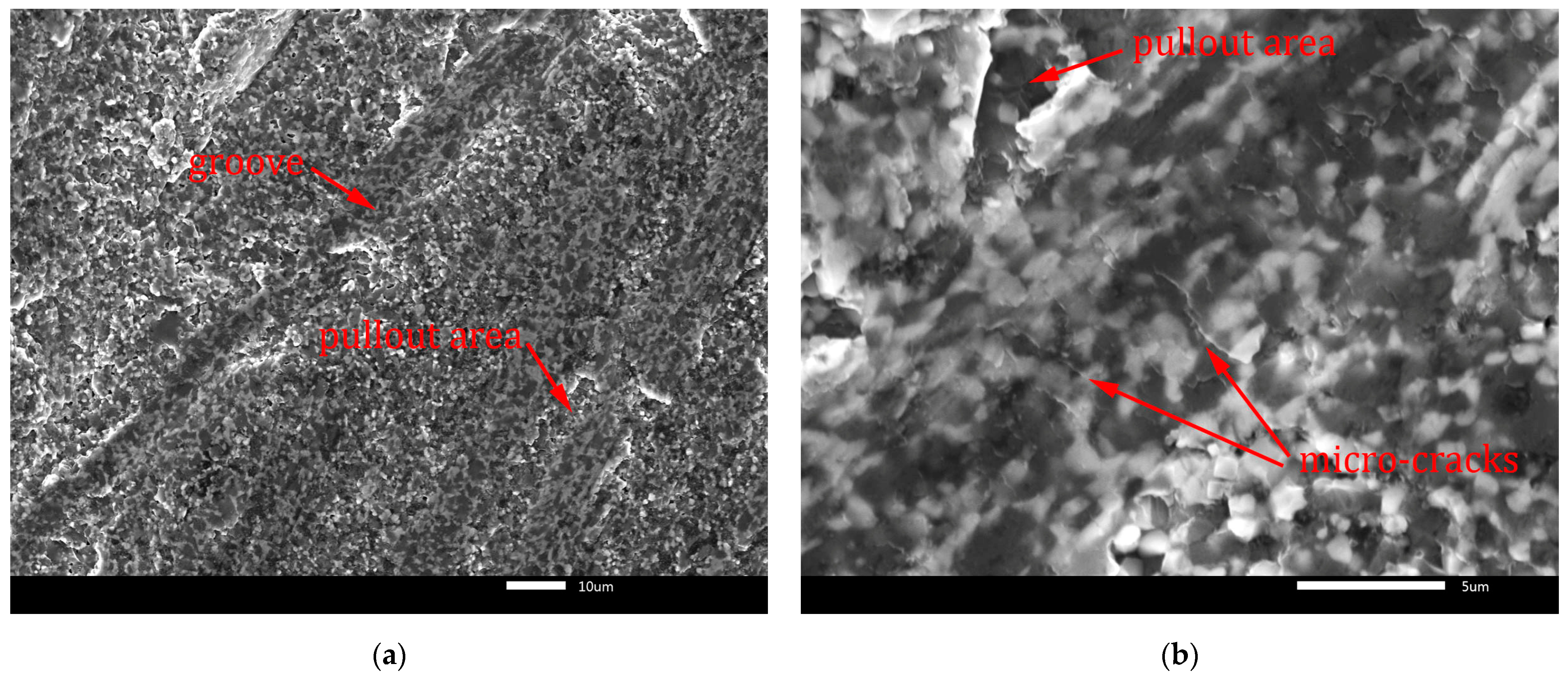Lubricants 13 00035 g013