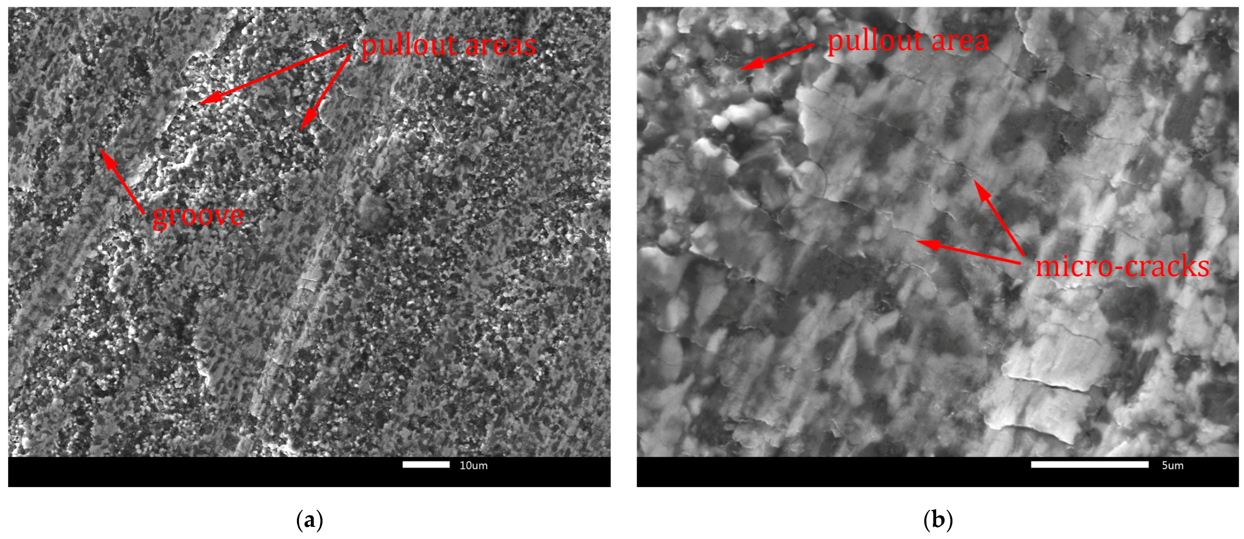 Lubricants 13 00035 g014