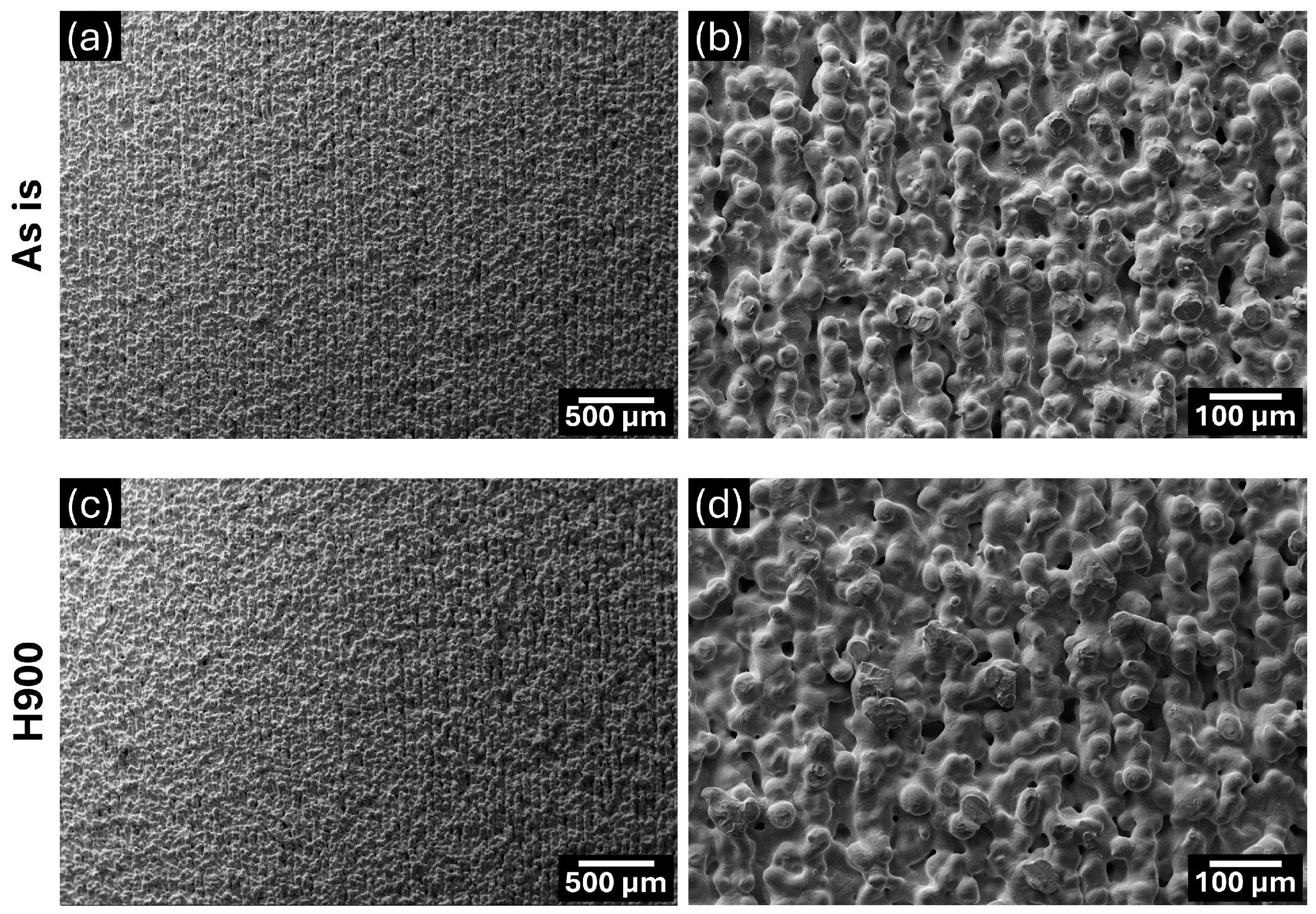 Lubricants 13 00042 g002